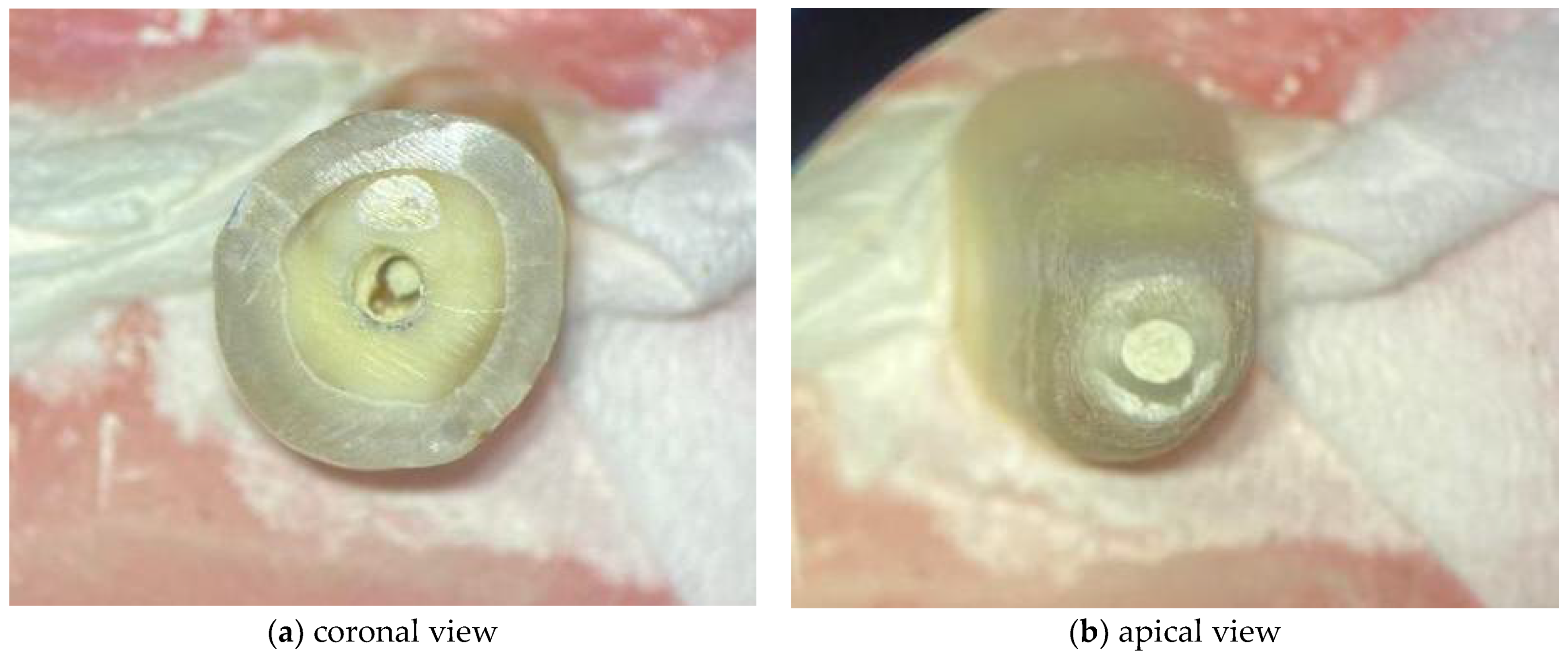 Materials 14 06456 g002 Materials 14 06456 g002