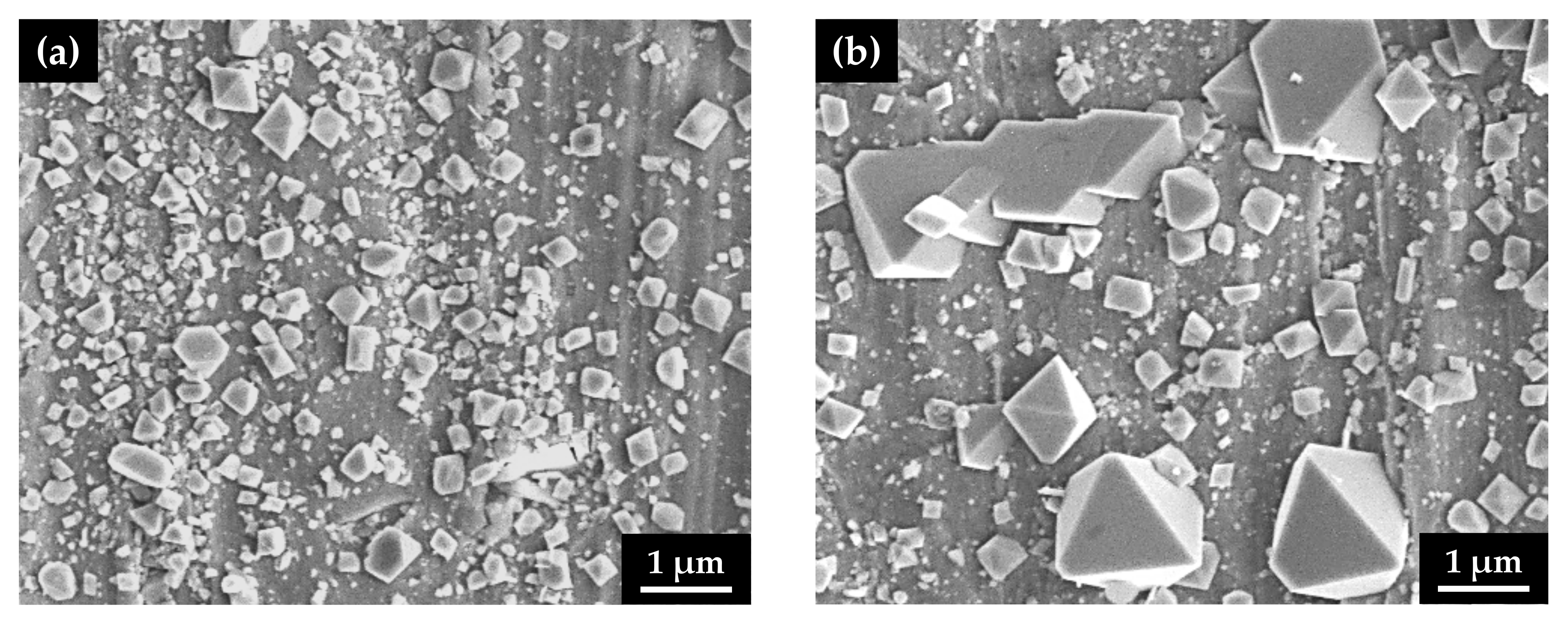 Materials 14 06460 g004