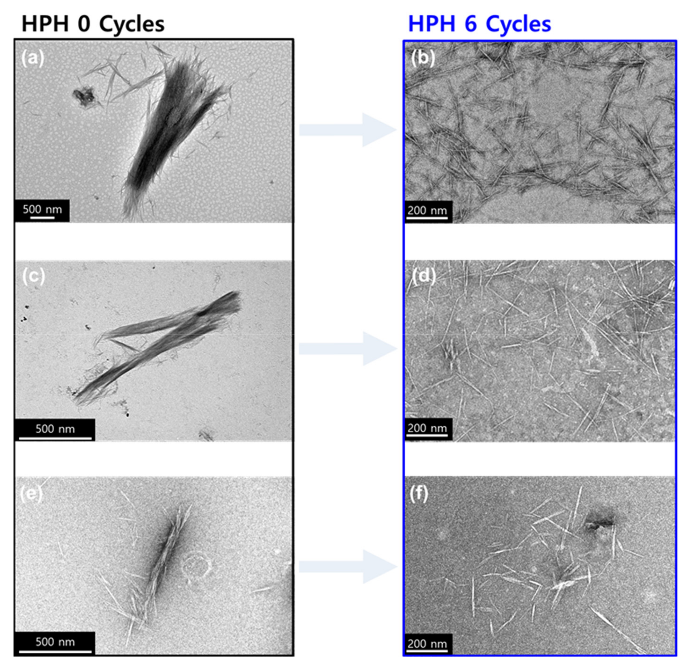 Materials 14 06463 g002