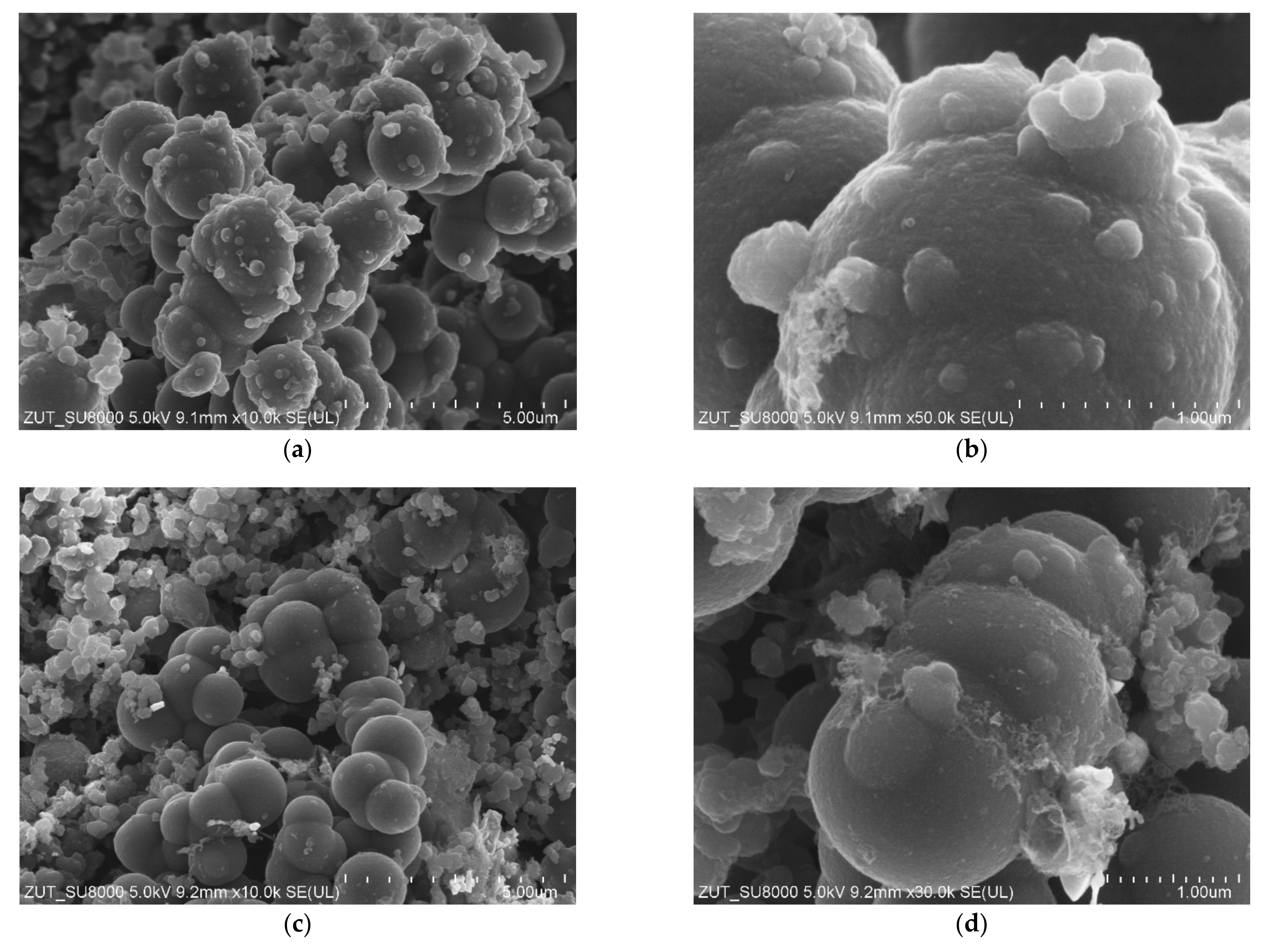 Materials 14 06478 g005