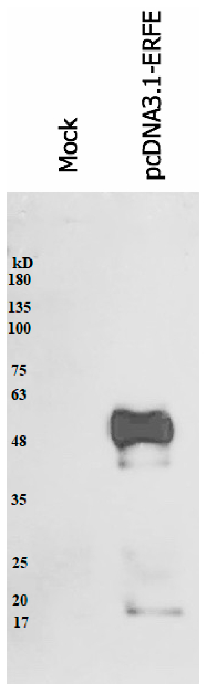Materials 14 06480 g002