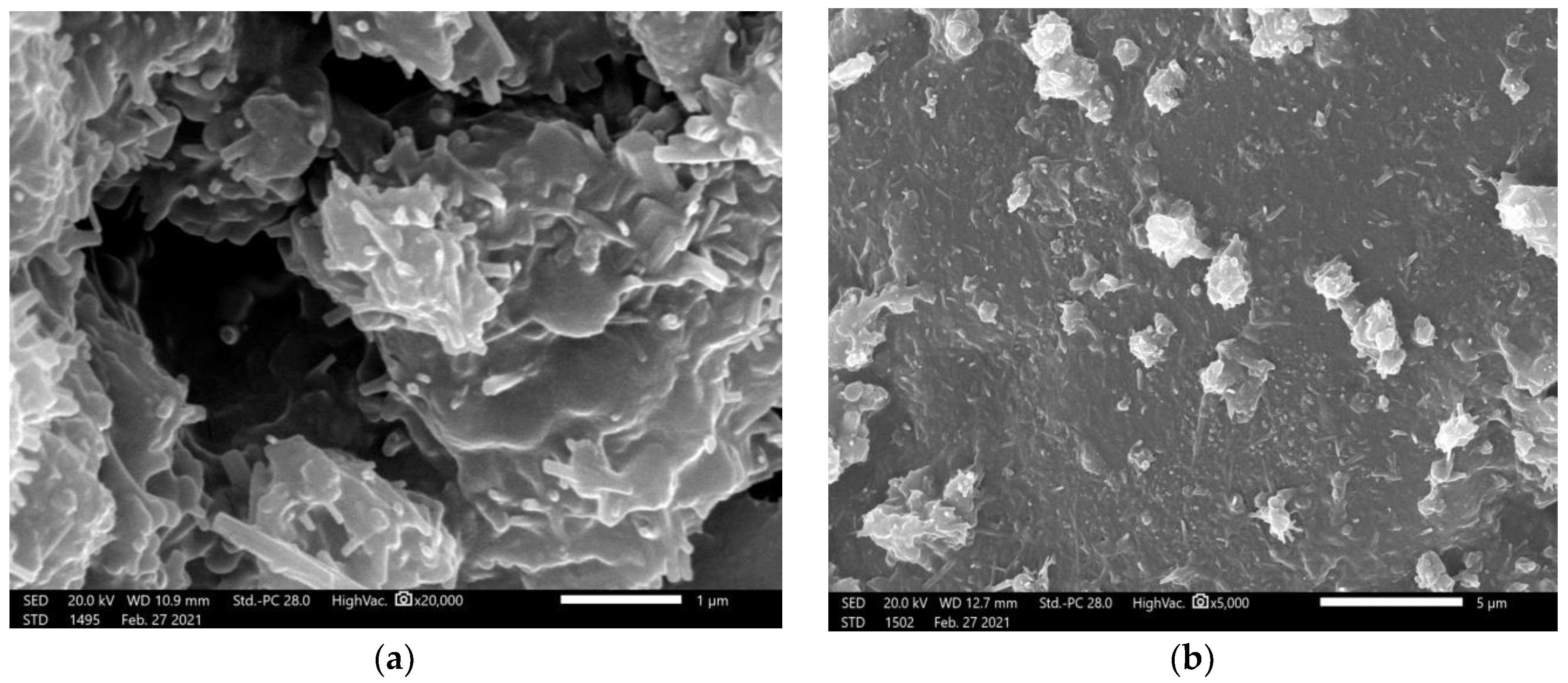 Materials 14 06487 g001a