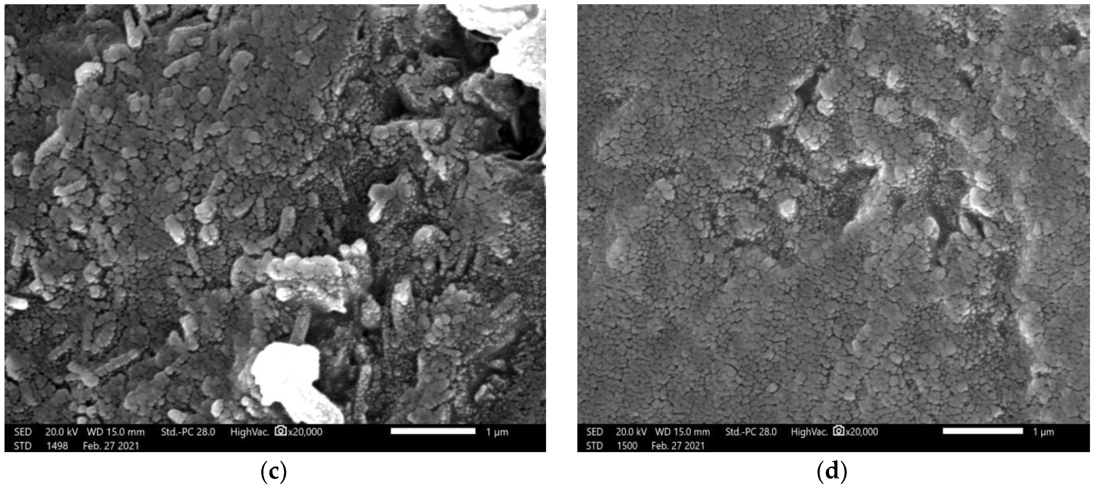 Materials 14 06487 g001b