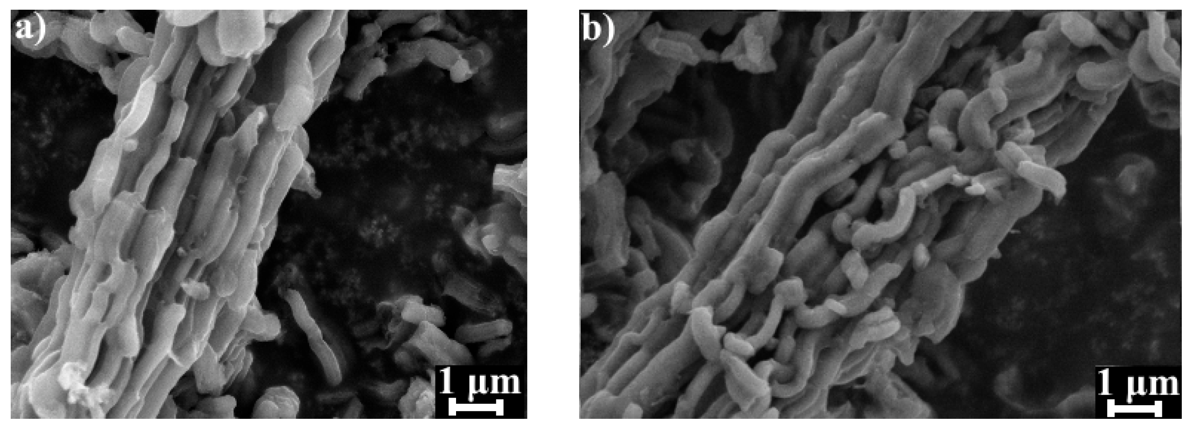 Materials 14 06490 g003