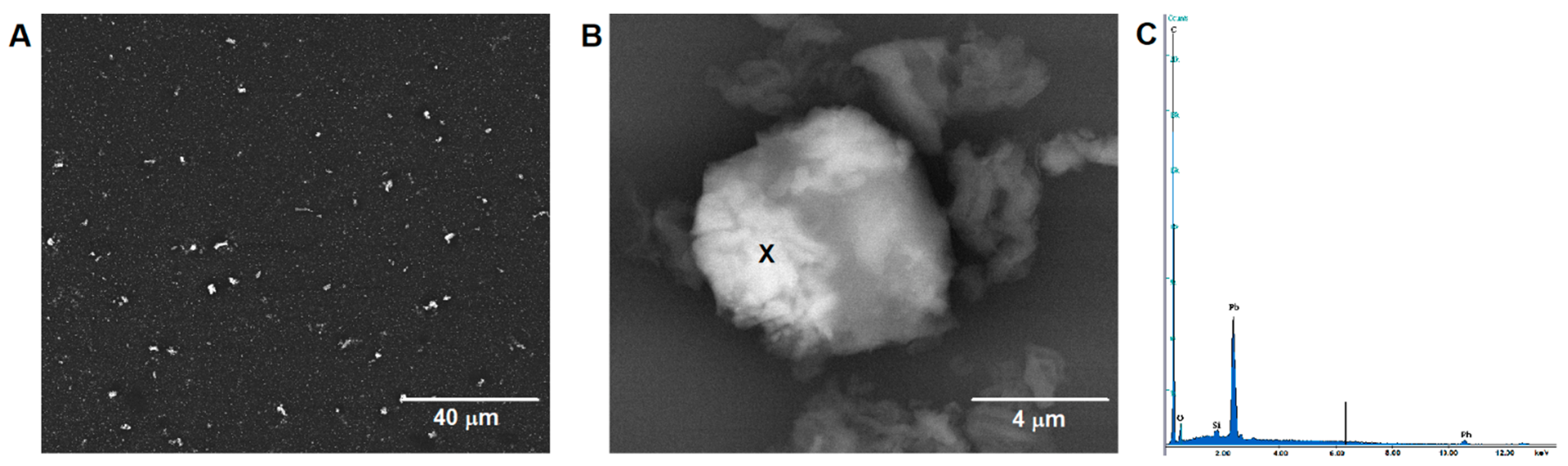 Materials 14 06490 g007