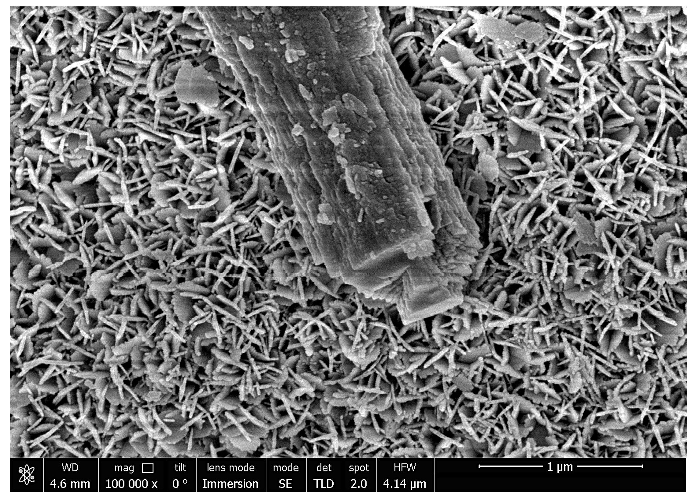 Materials 14 06493 g006