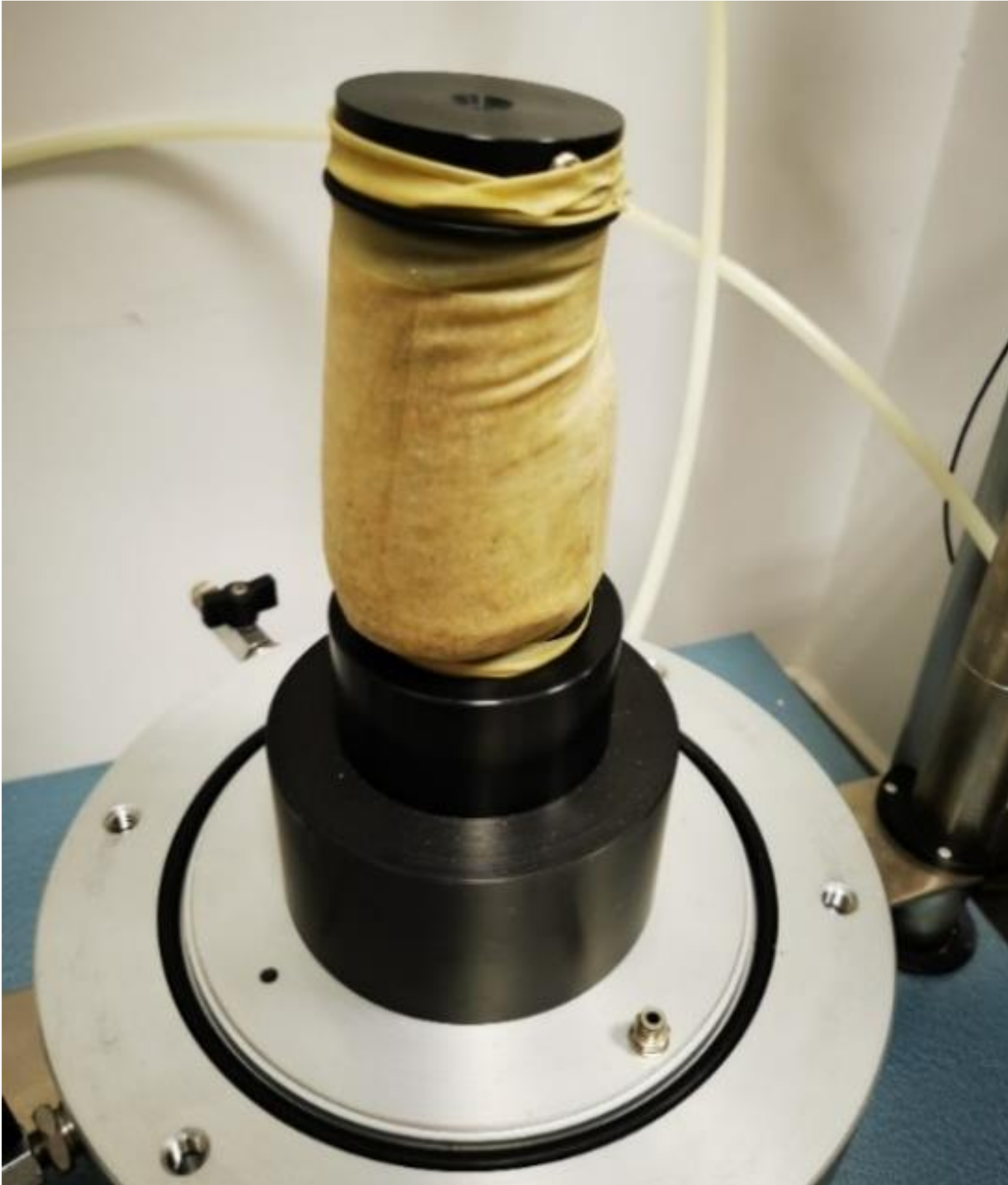 Materials 14 06495 g006