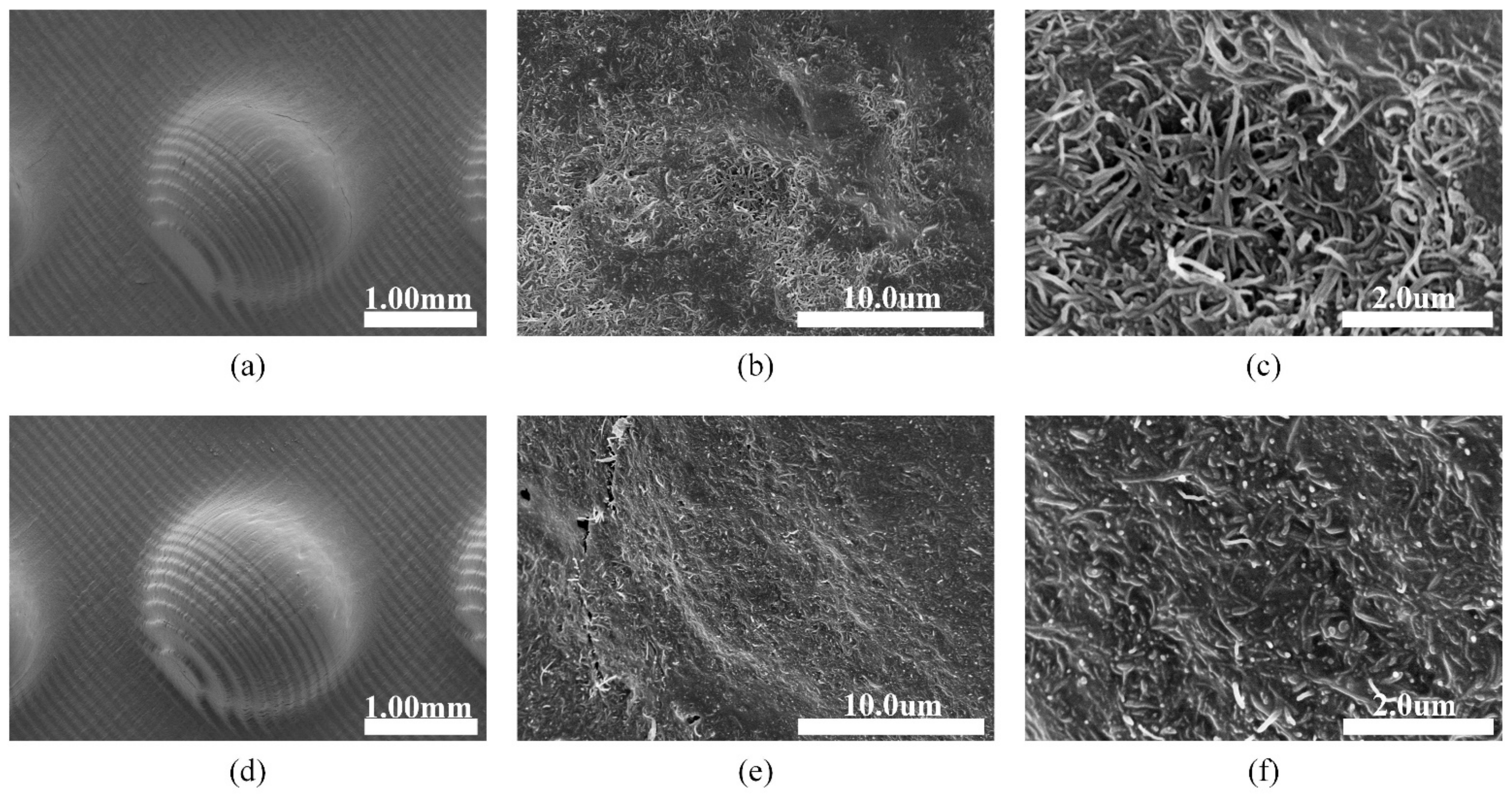 Materials 14 06499 g012