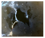 Materials 14 06501 i011