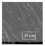 Materials 14 06501 i022