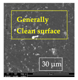 Materials 14 06501 i024