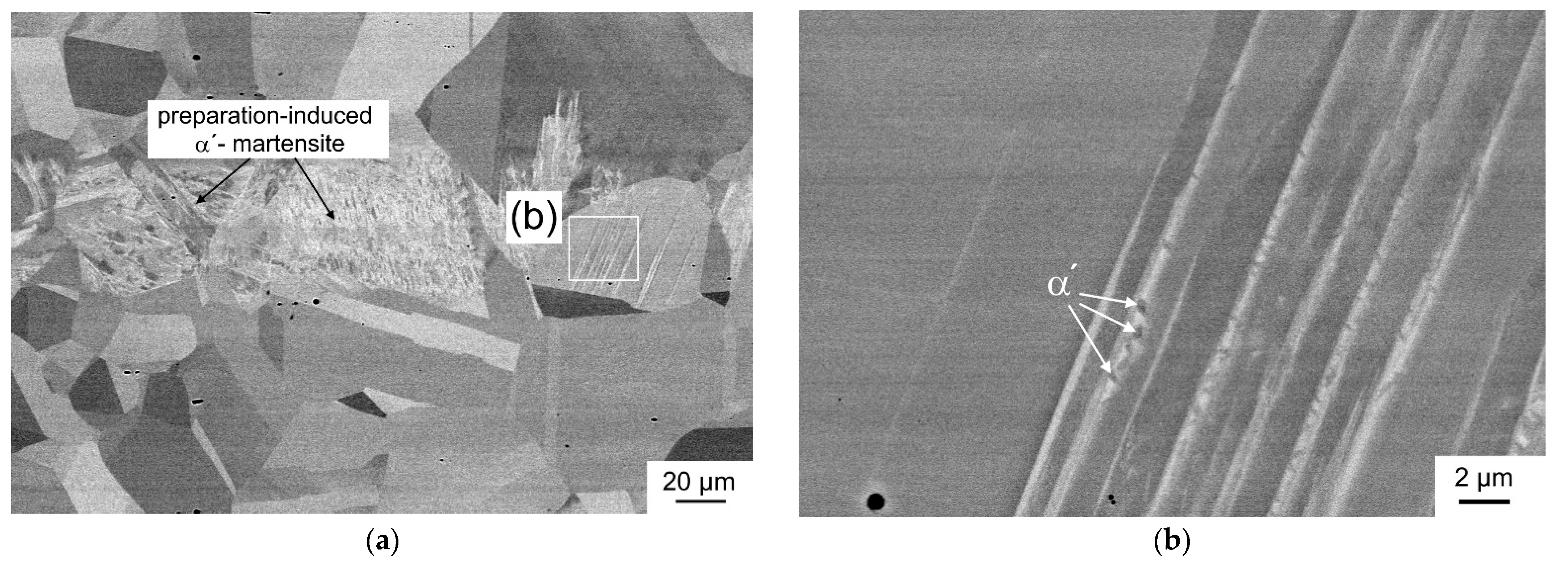Materials 14 06502 g004