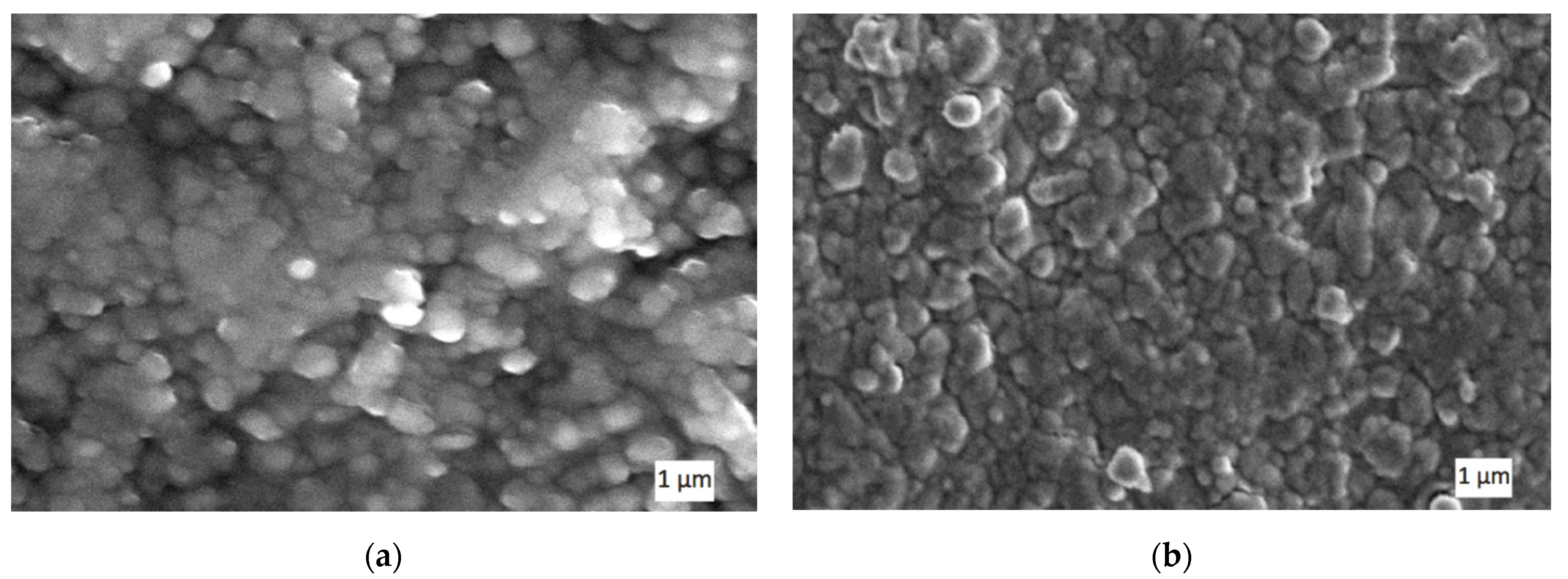 Materials 14 06503 g005