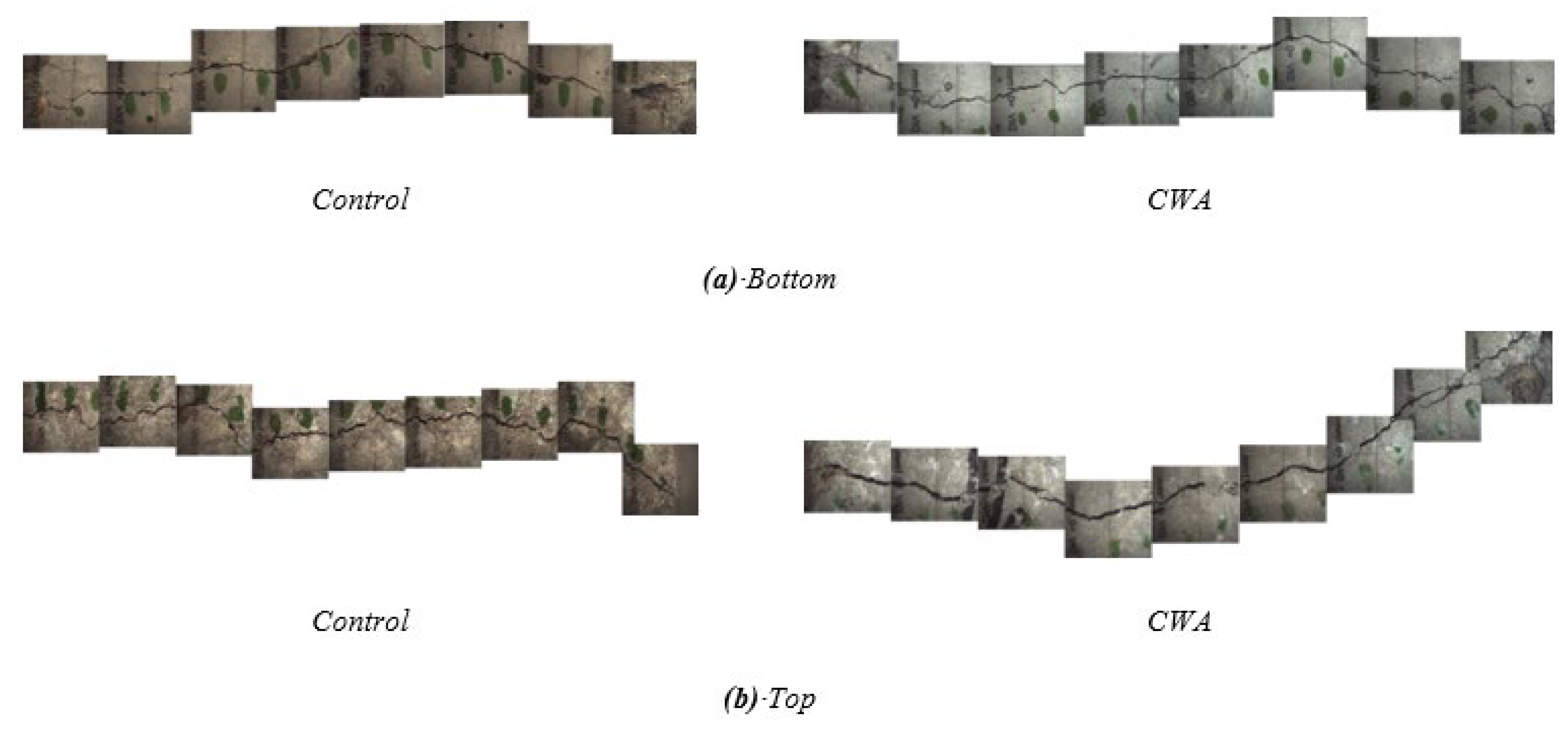 Materials 14 06508 g015