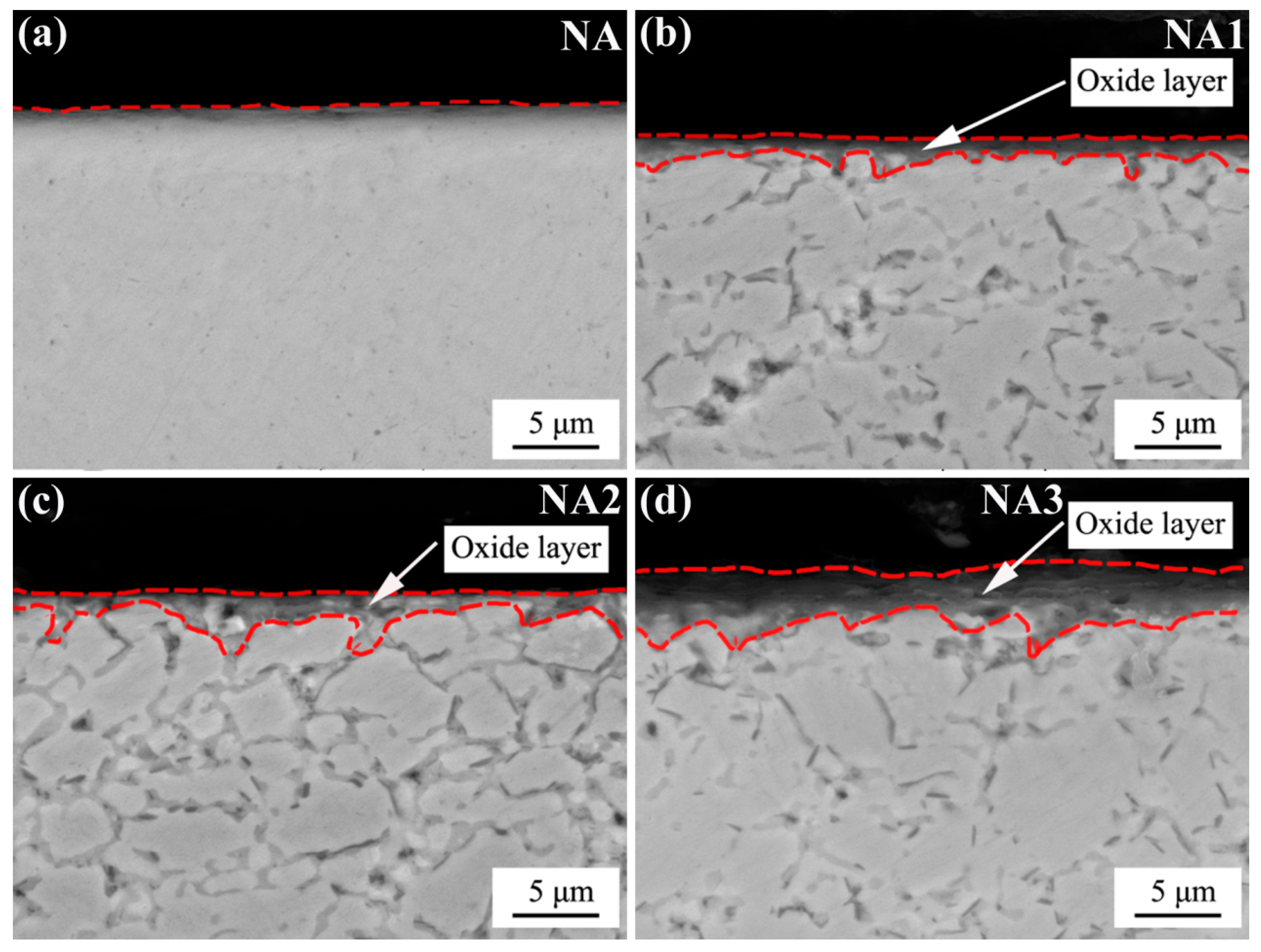 Materials 14 06510 g007