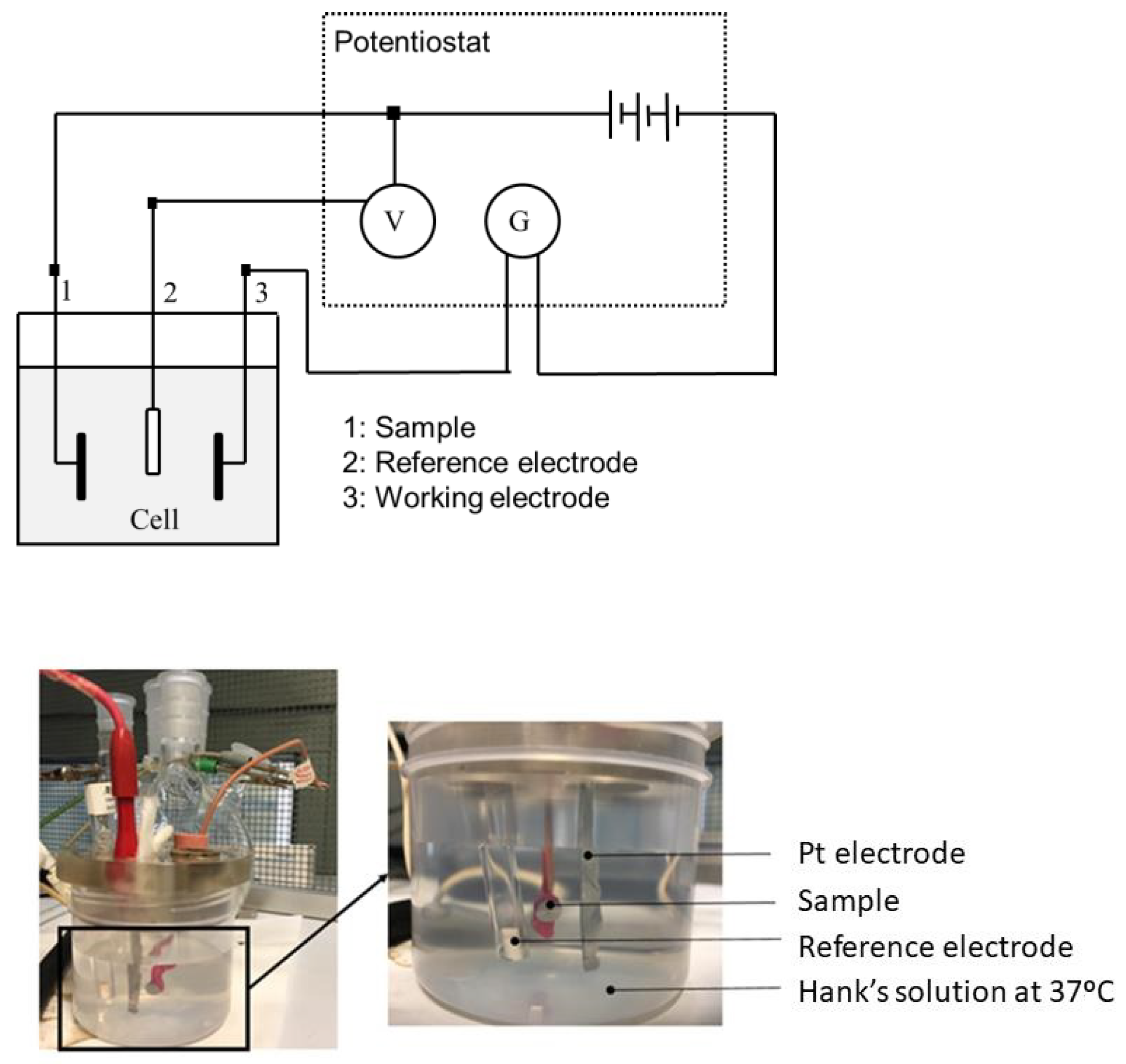 Materials 14 06519 g001
