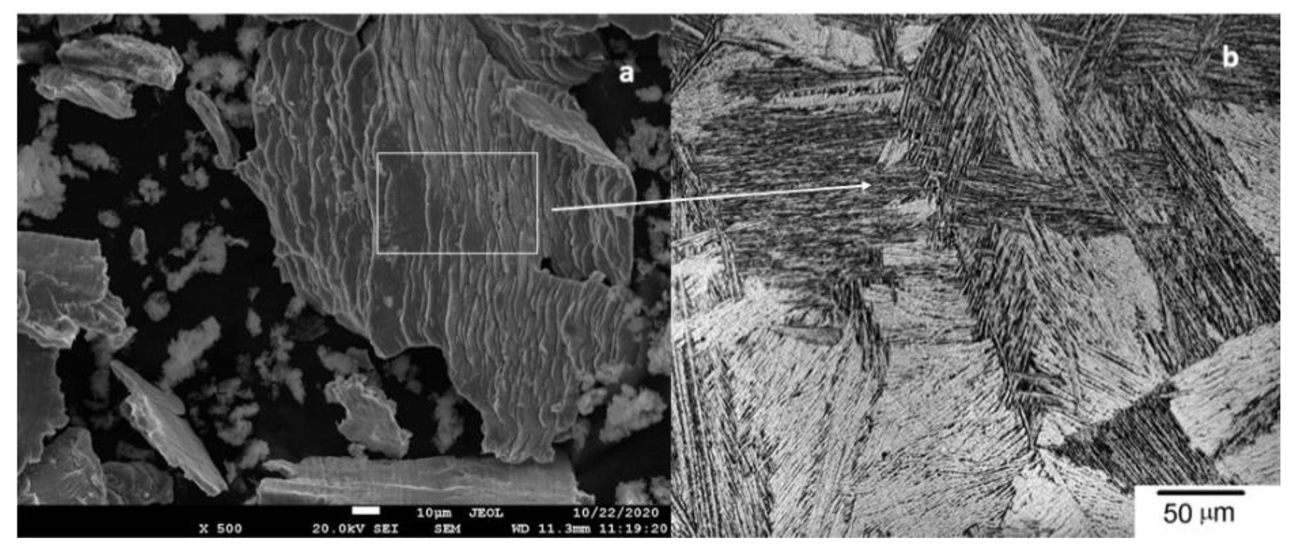 Materials 14 06519 g002