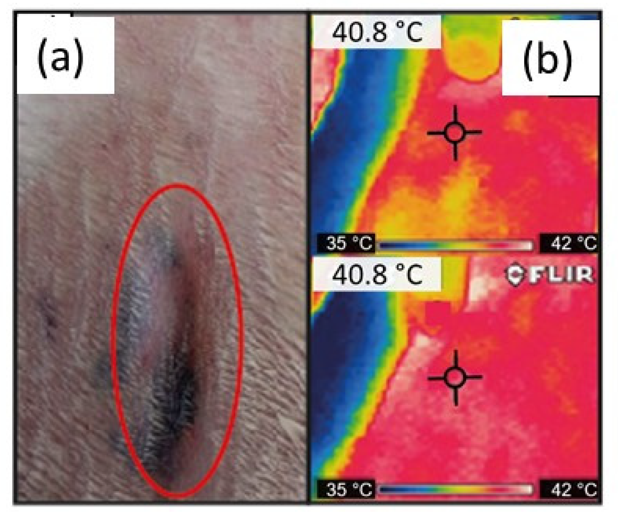 Materials 14 06522 g006