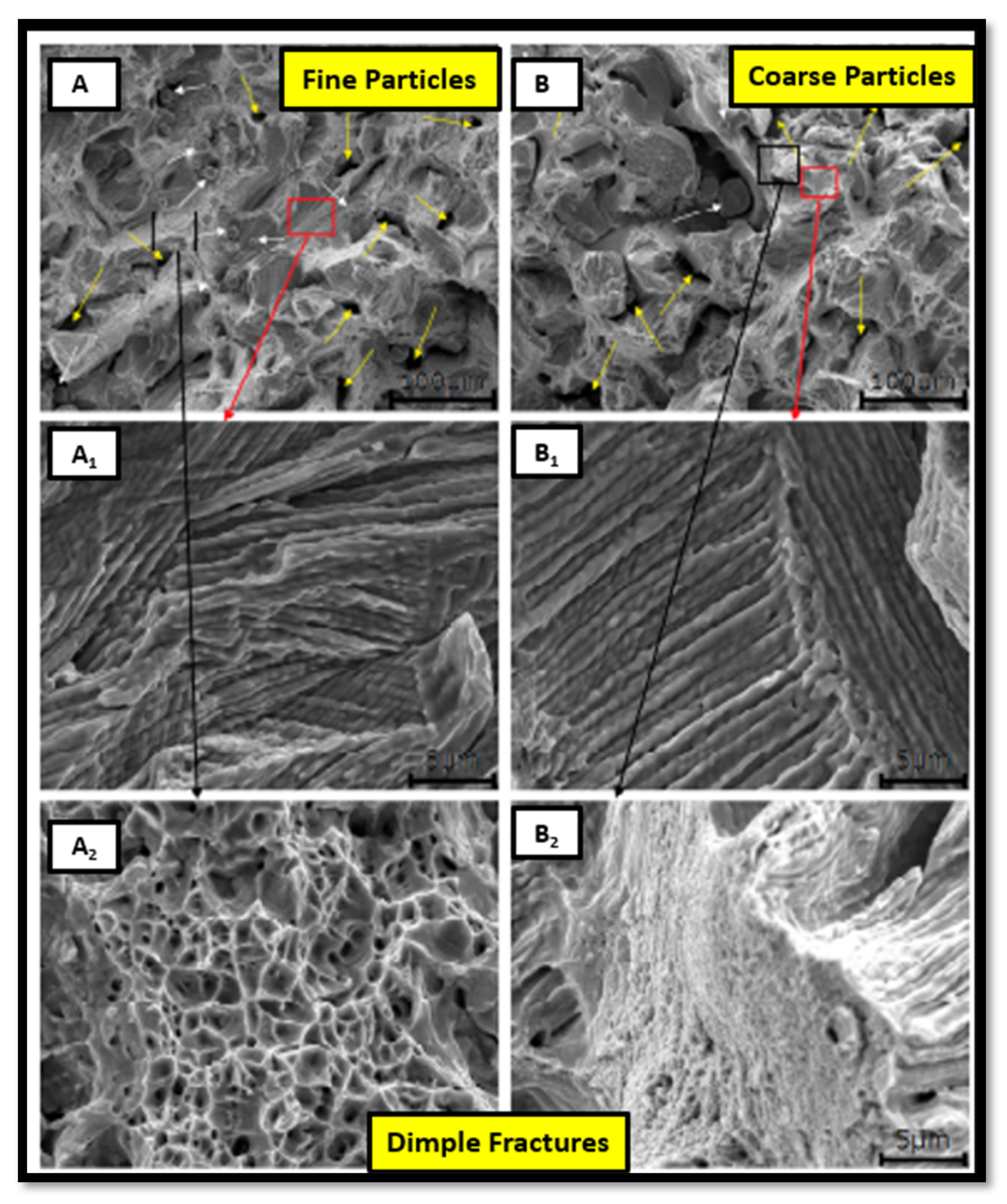 Materials 14 06527 g001