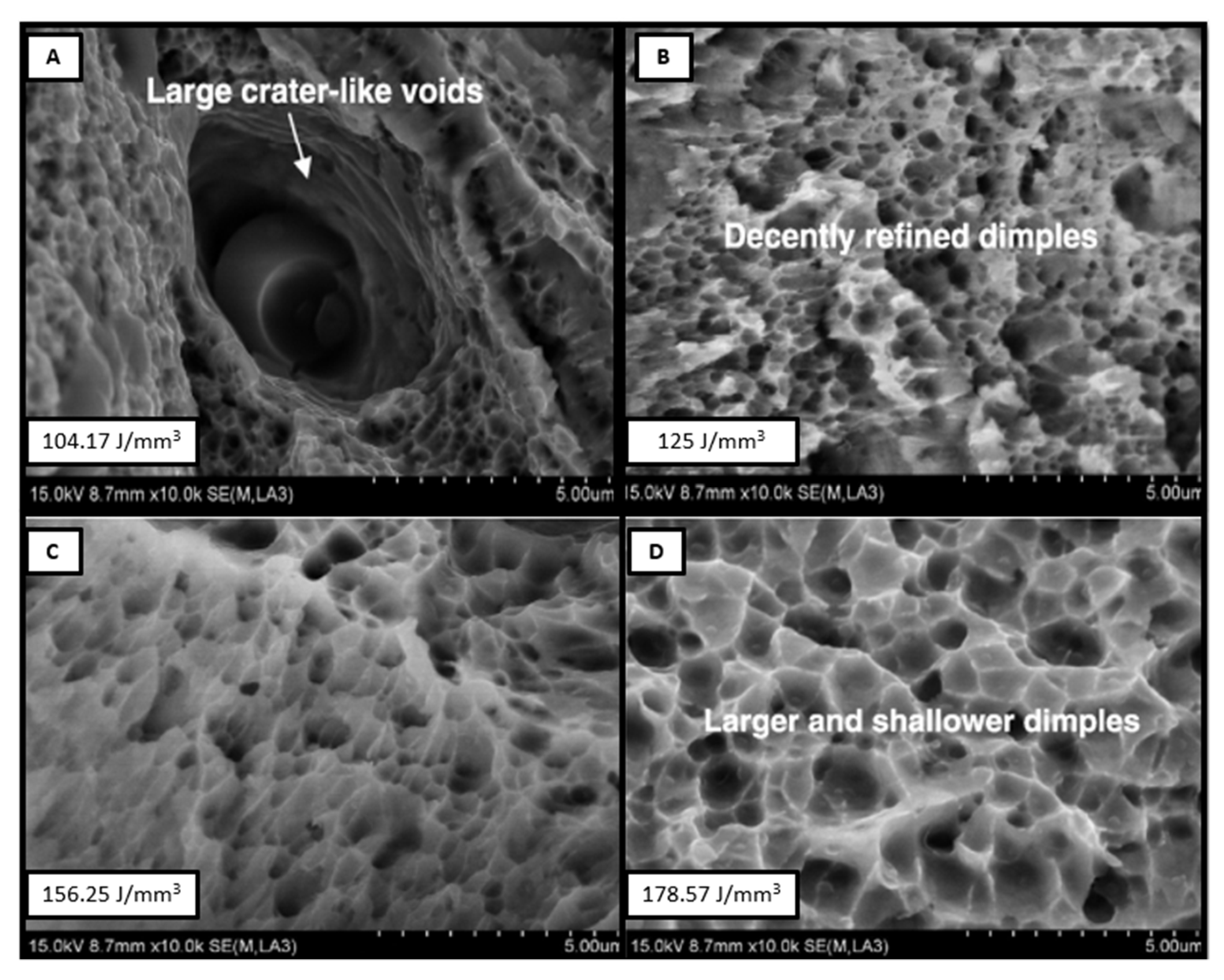 Materials 14 06527 g002