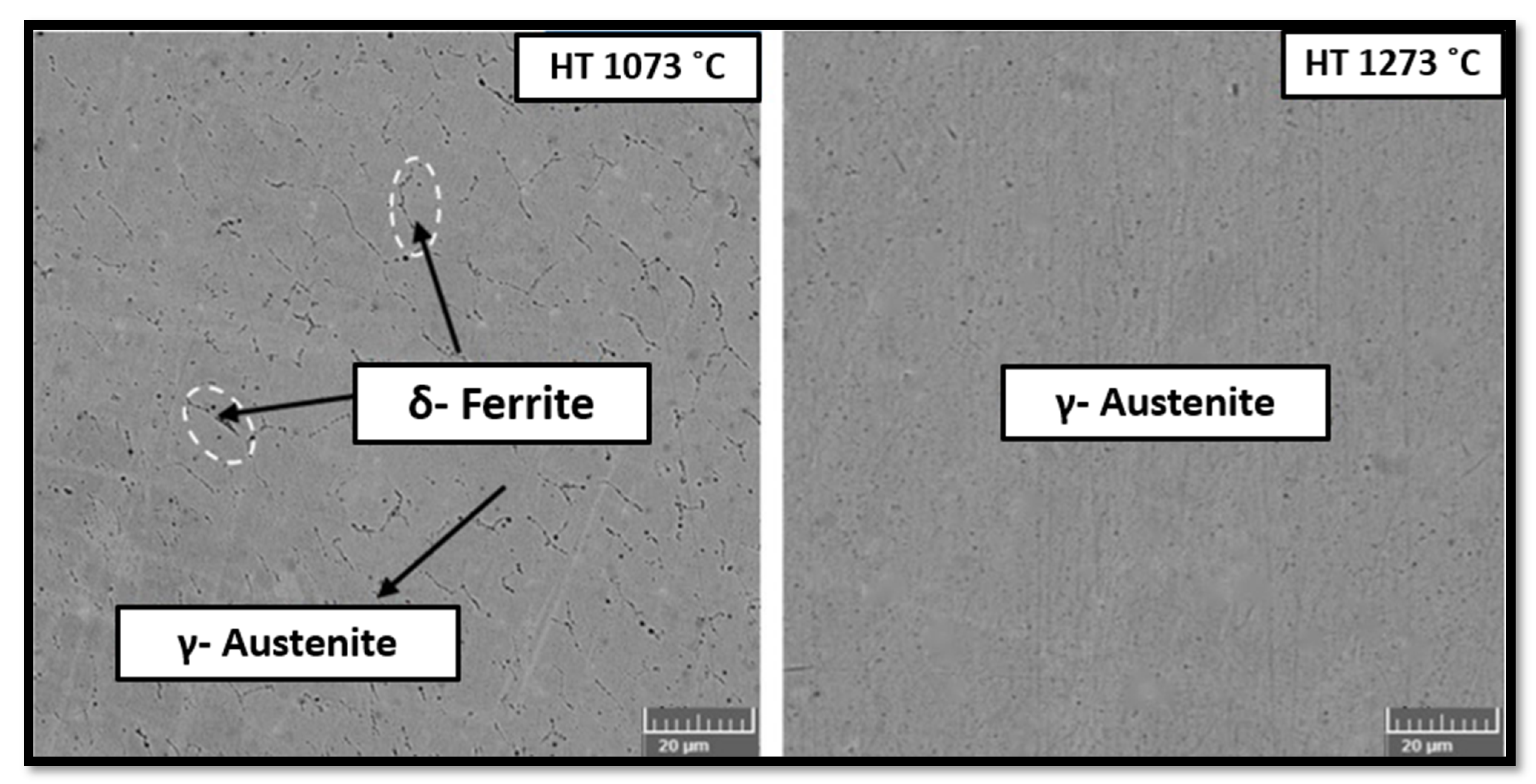 Materials 14 06527 g020