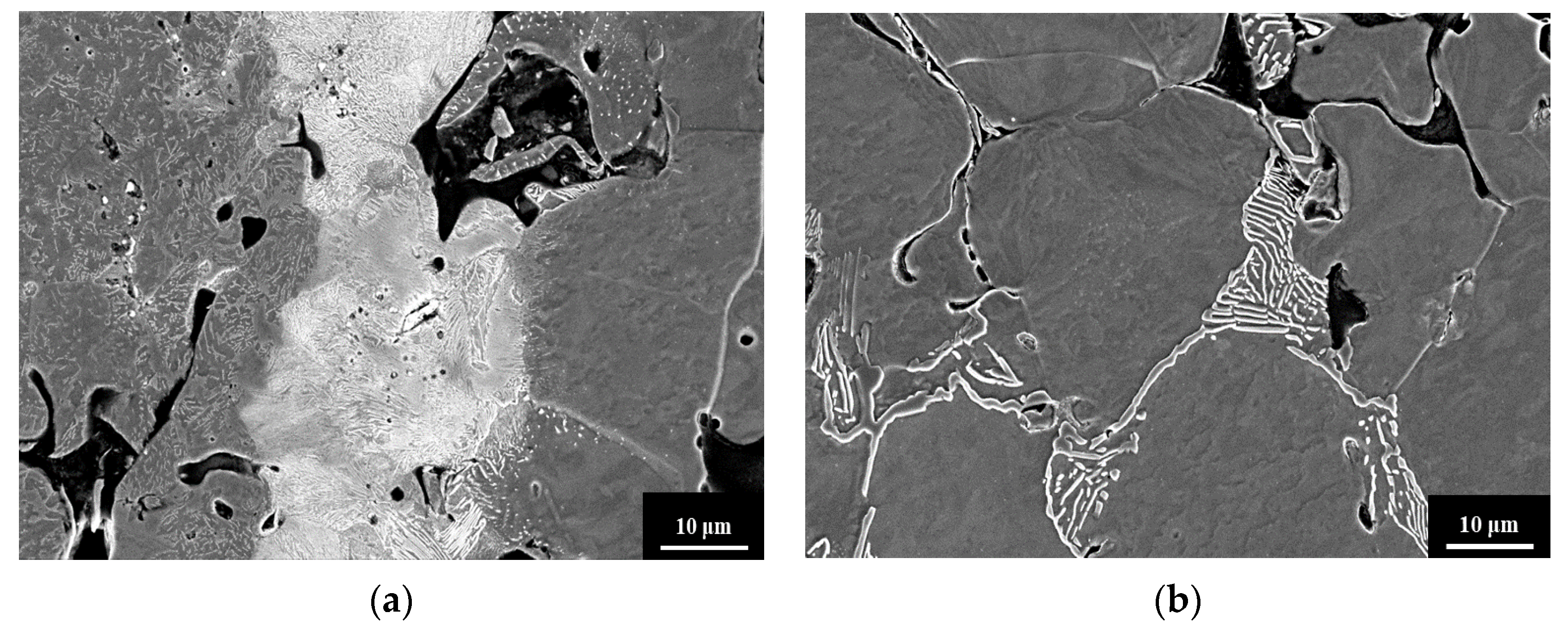 Materials 14 06533 g003