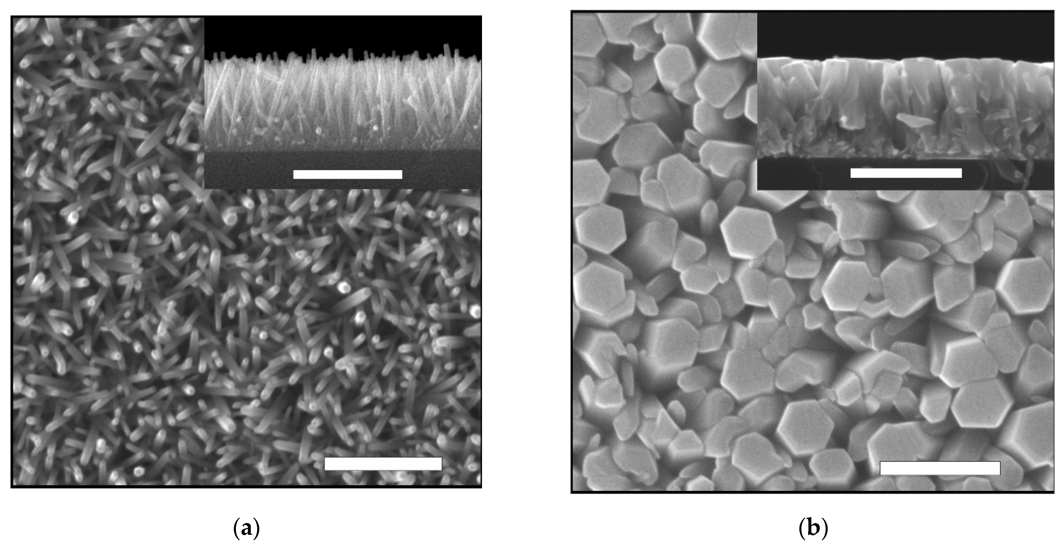 Materials 14 06535 g001a