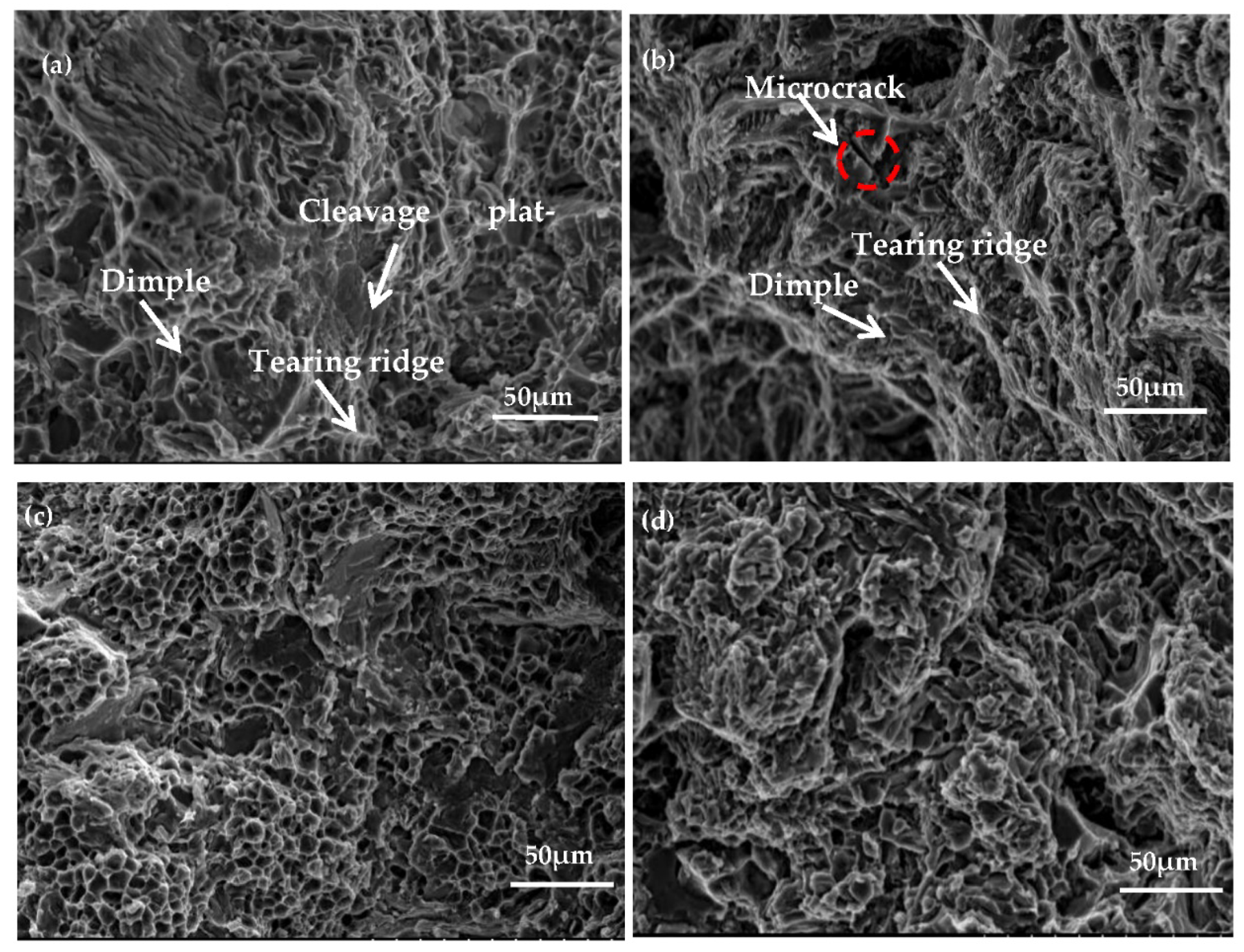 Materials 14 06537 g012