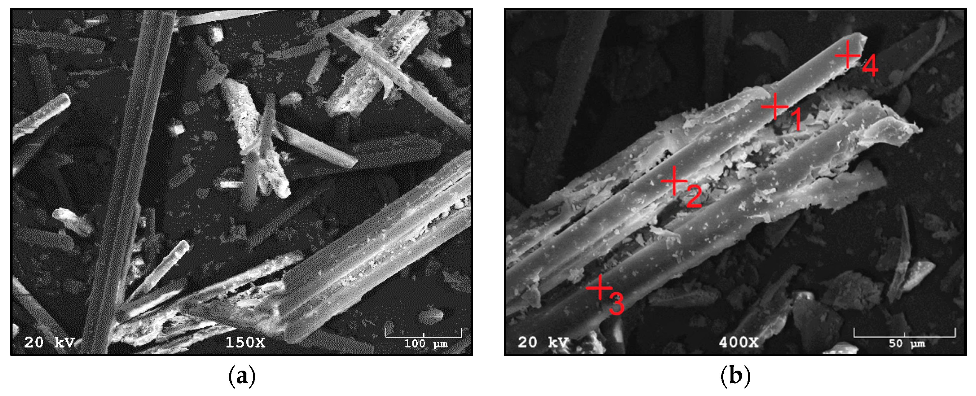 Materials 14 06539 g003