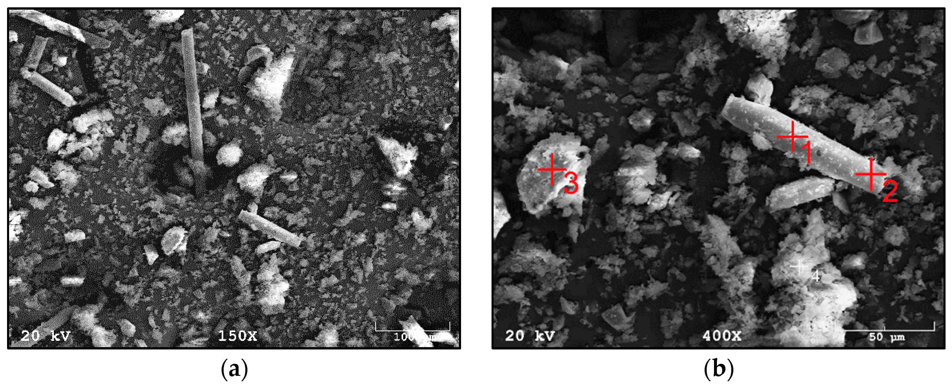 Materials 14 06539 g005