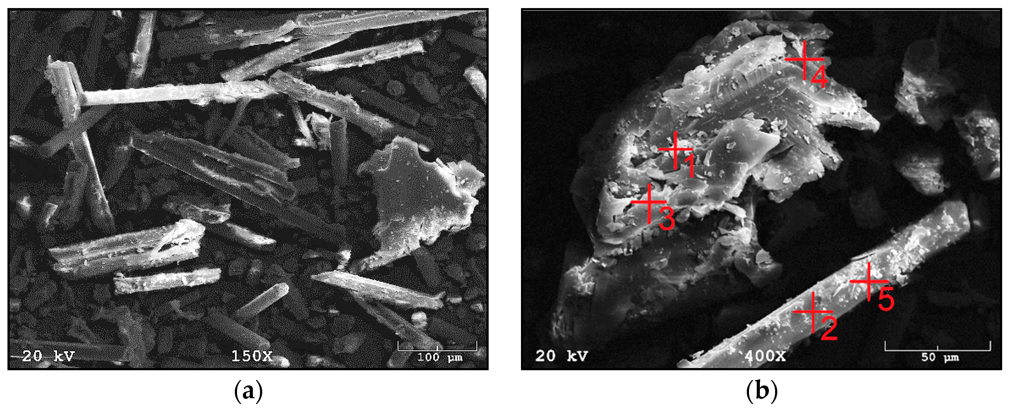 Materials 14 06539 g007