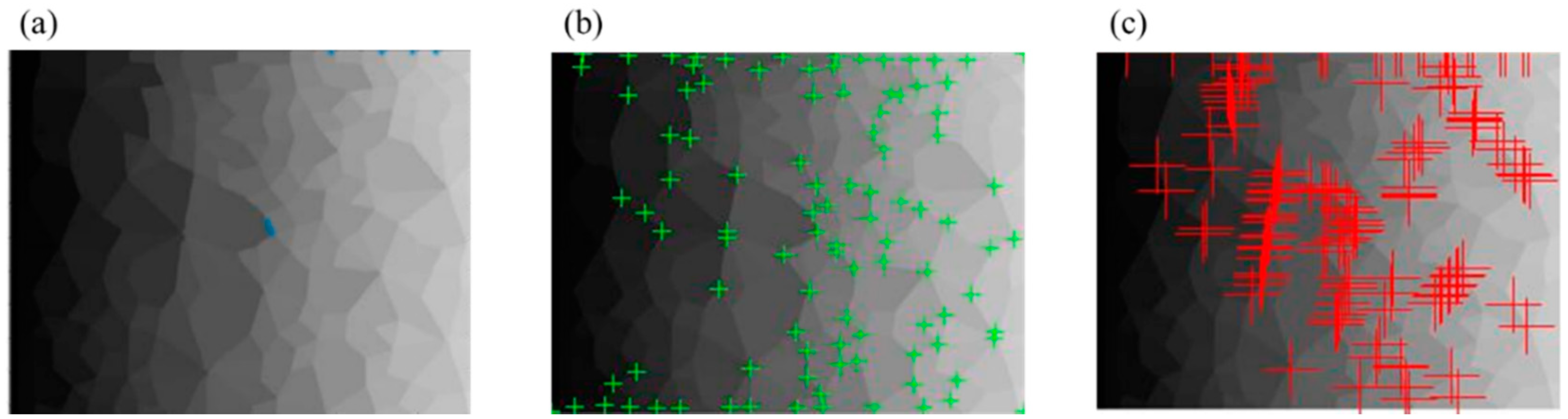 Materials 14 06542 g009
