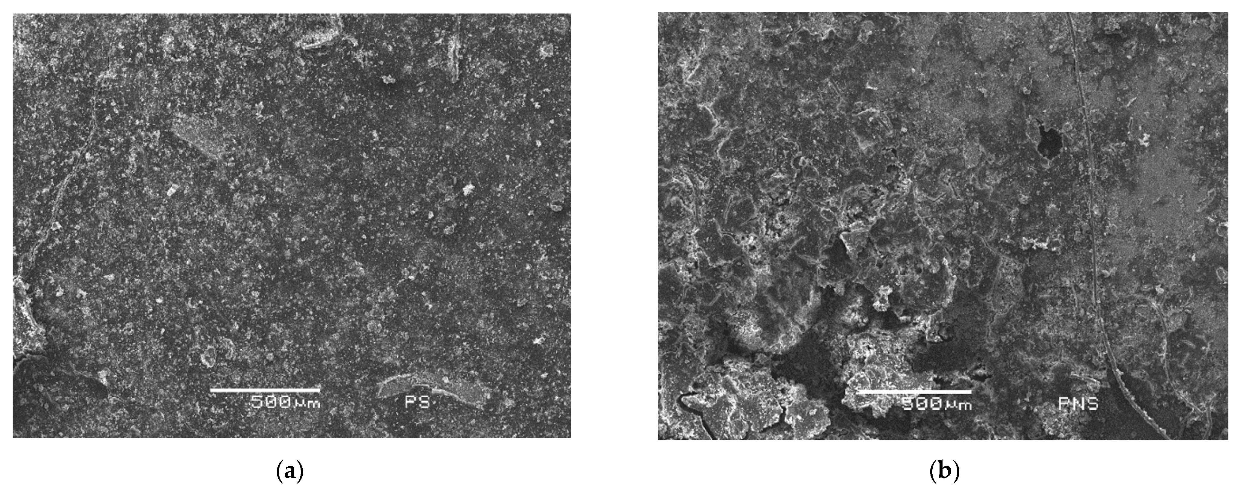 Materials 14 06545 g005