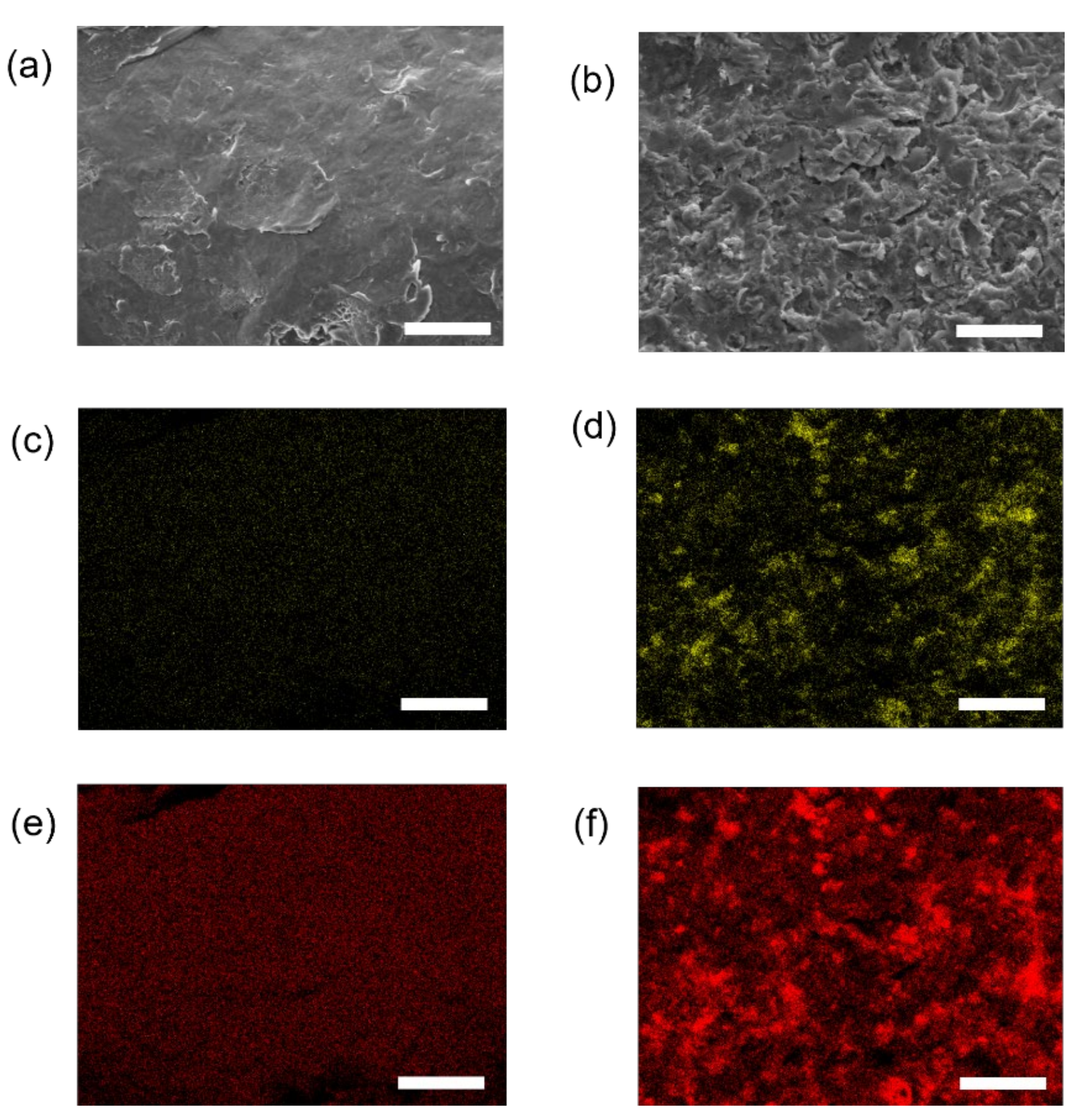 Materials 14 06556 g004