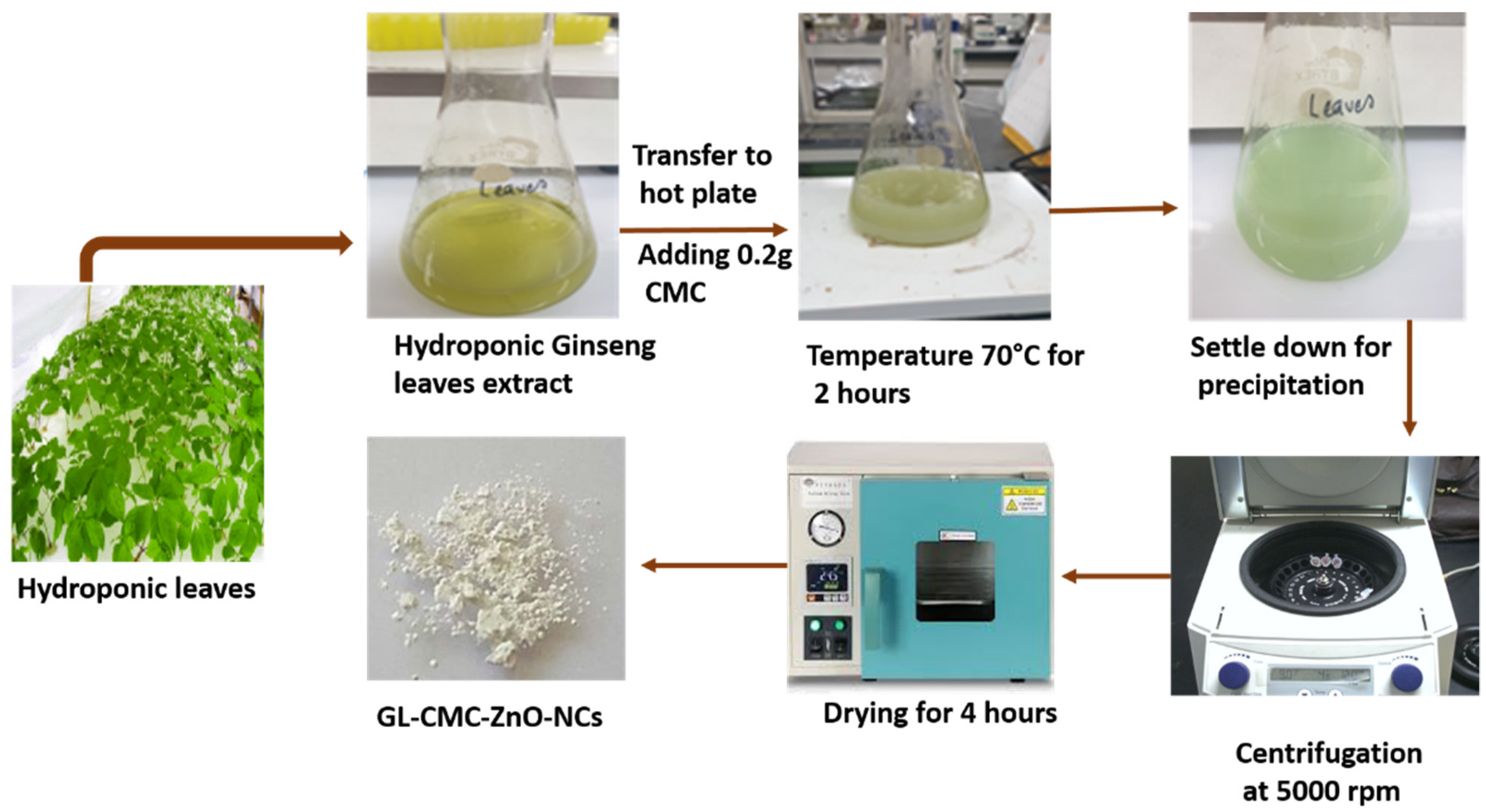 Materials 14 06557 g001