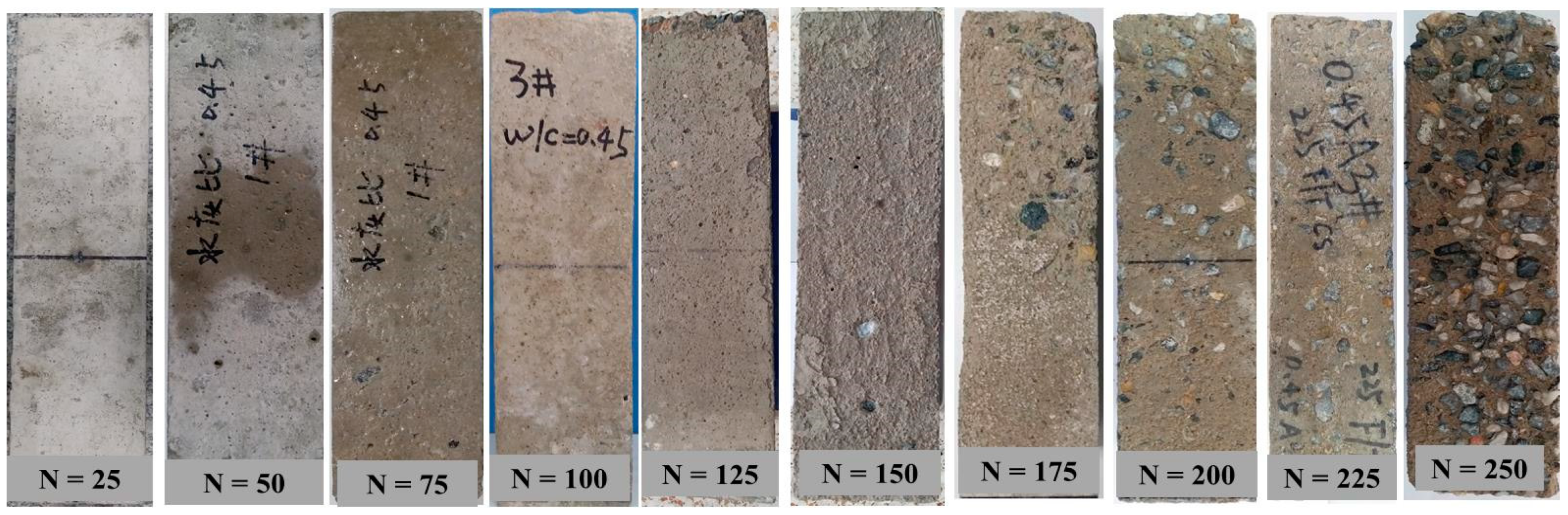 Materials 14 06568 g007