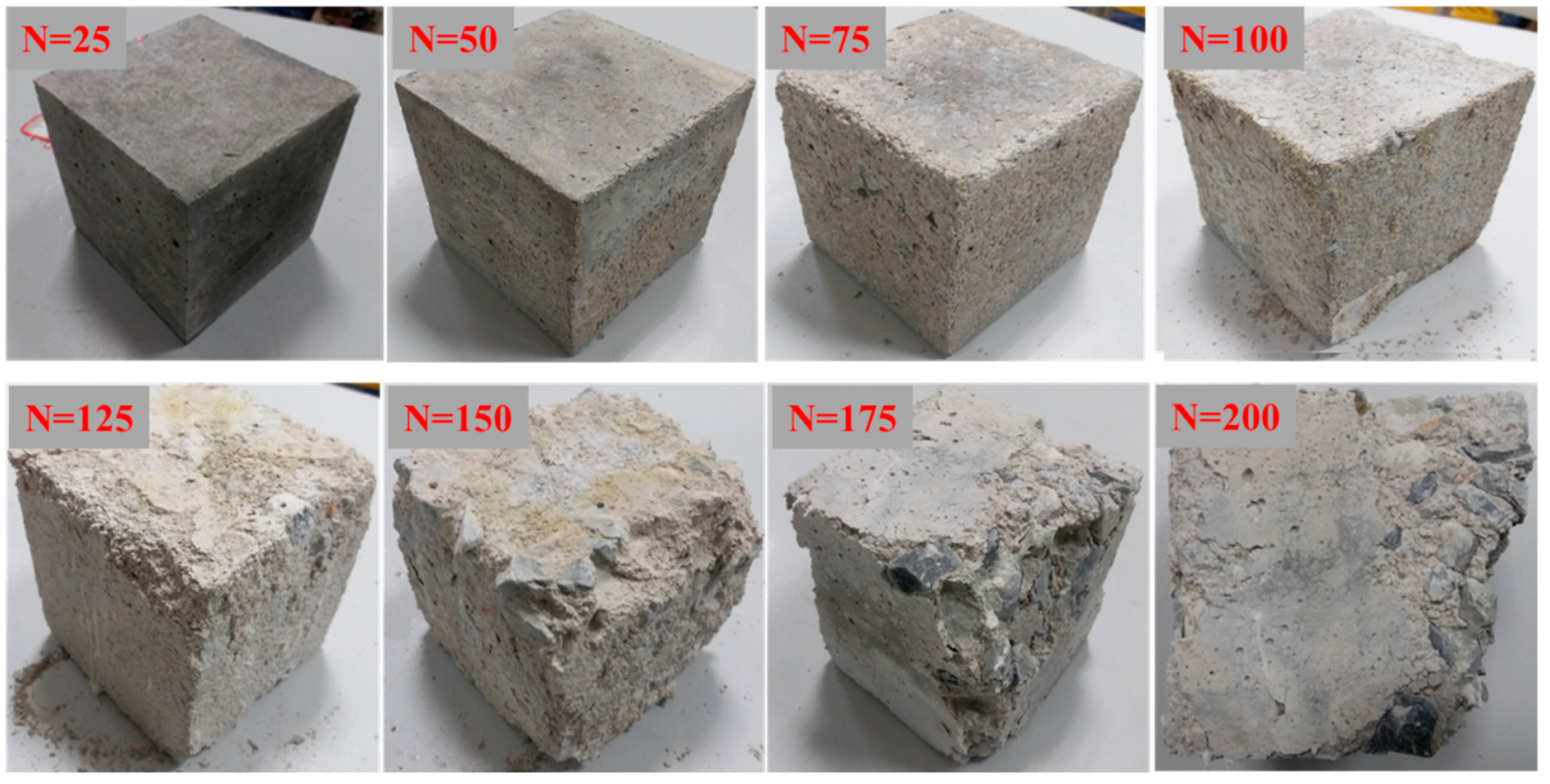 Materials 14 06568 g008