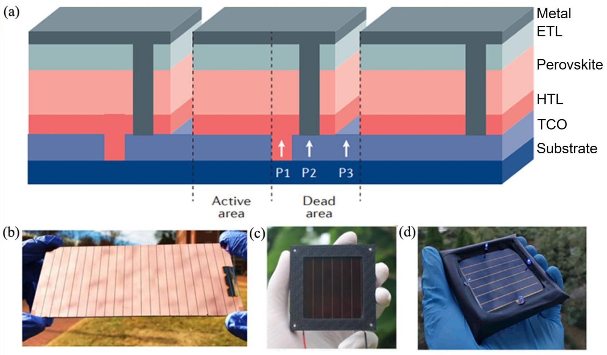 Materials 14 06569 g005