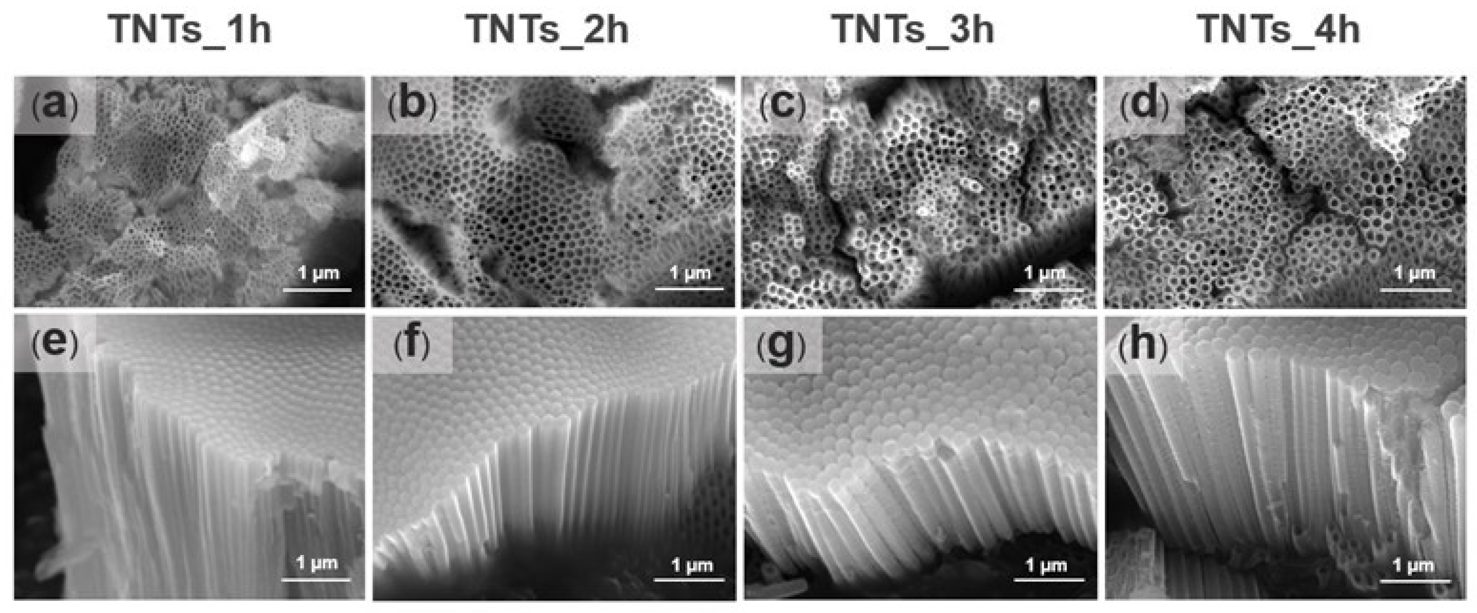 Materials 14 06576 g003