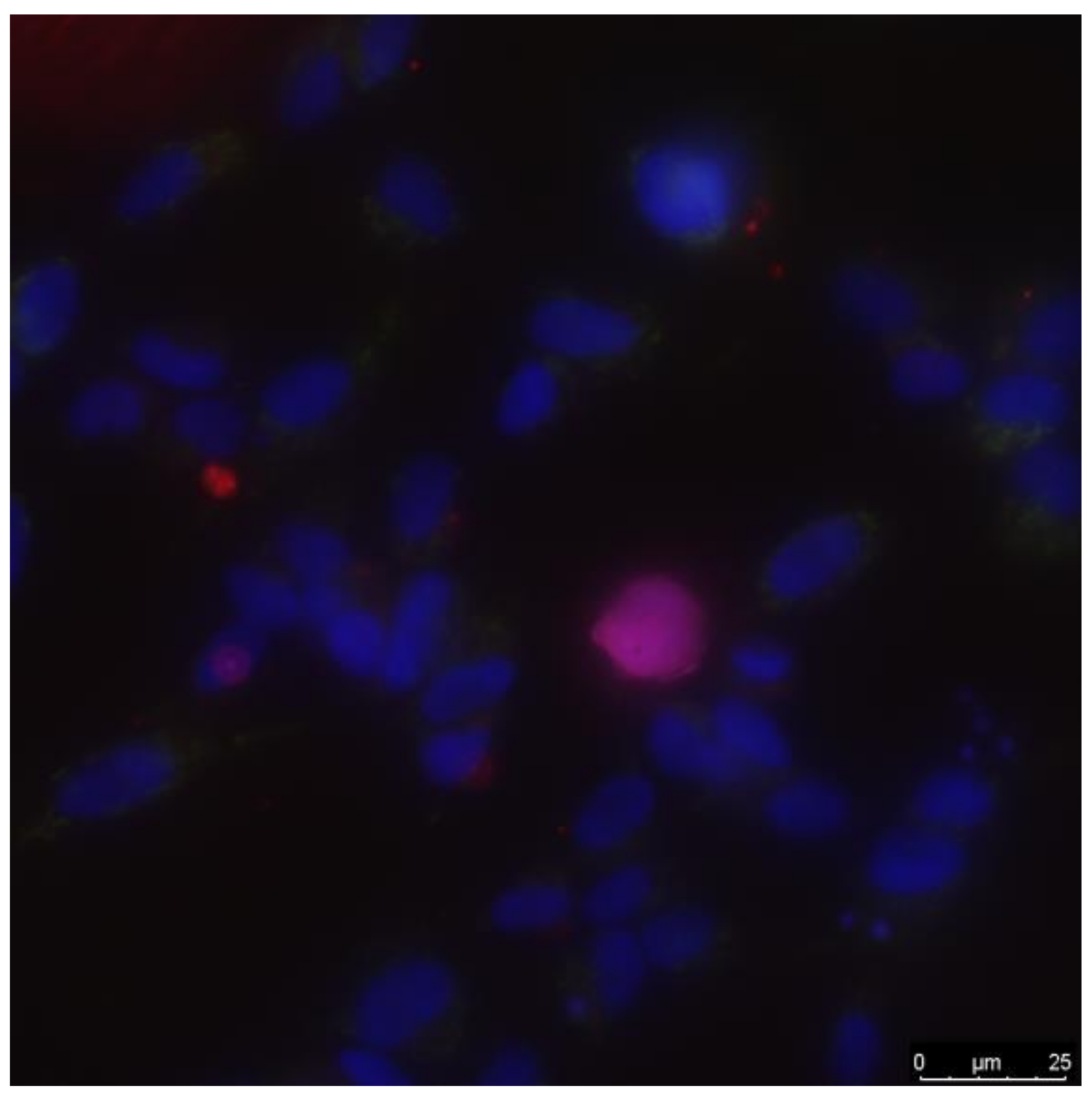 Materials 14 06586 g003