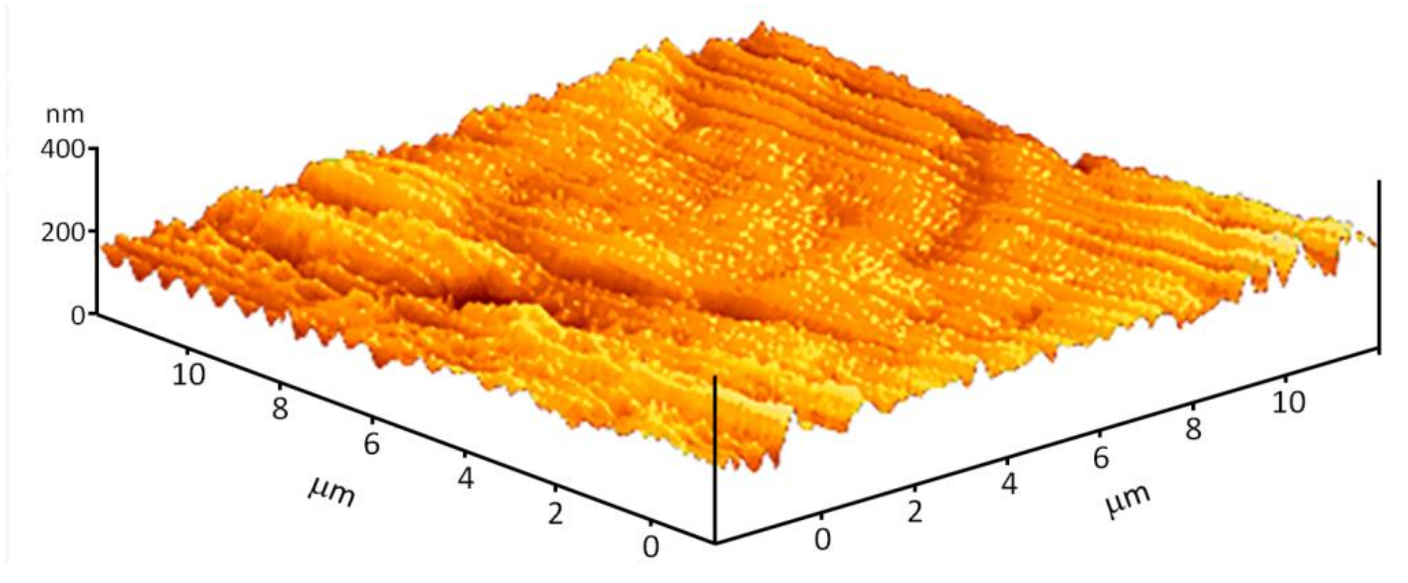 Materials 14 06586 g006