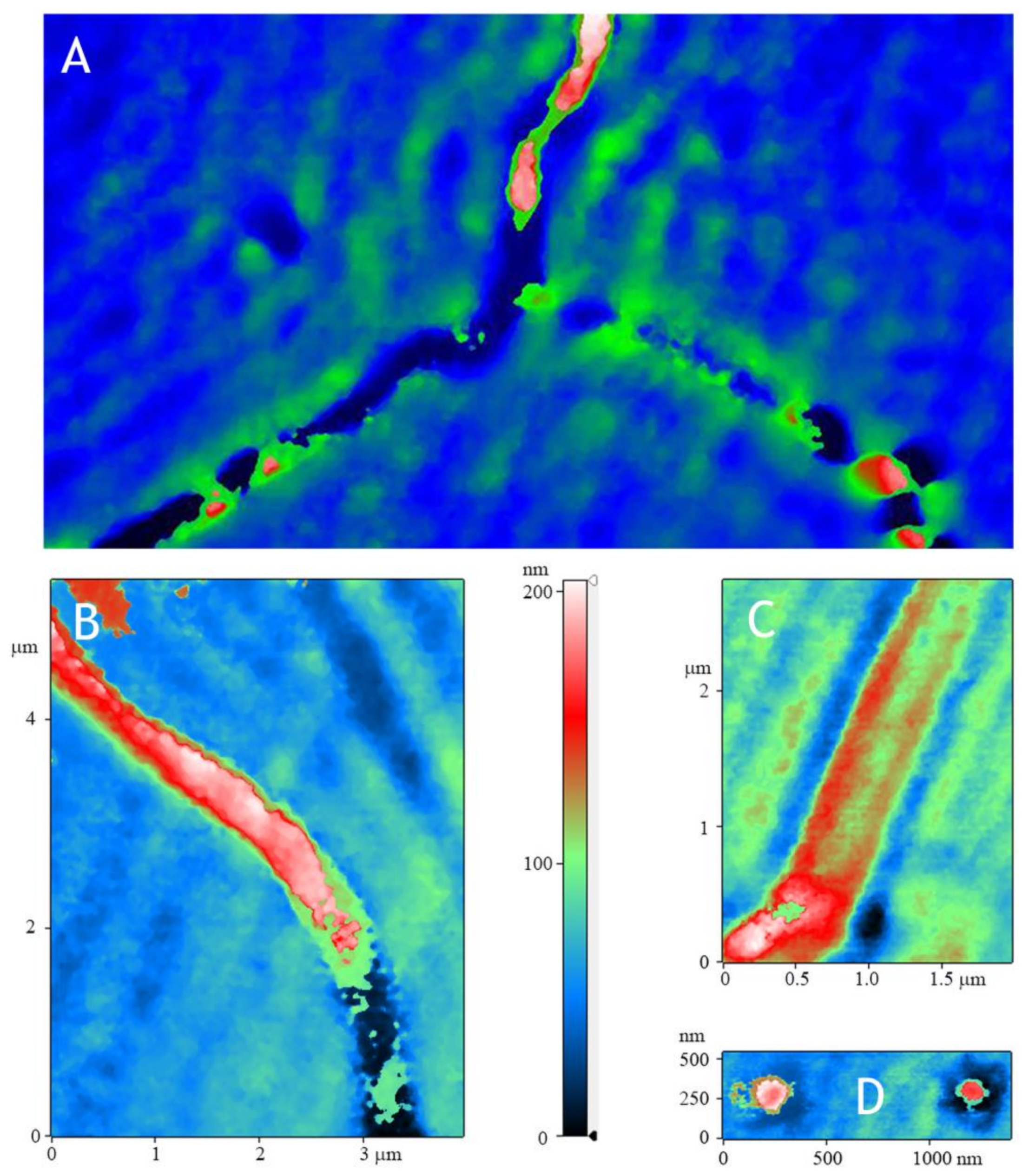 Materials 14 06586 g007