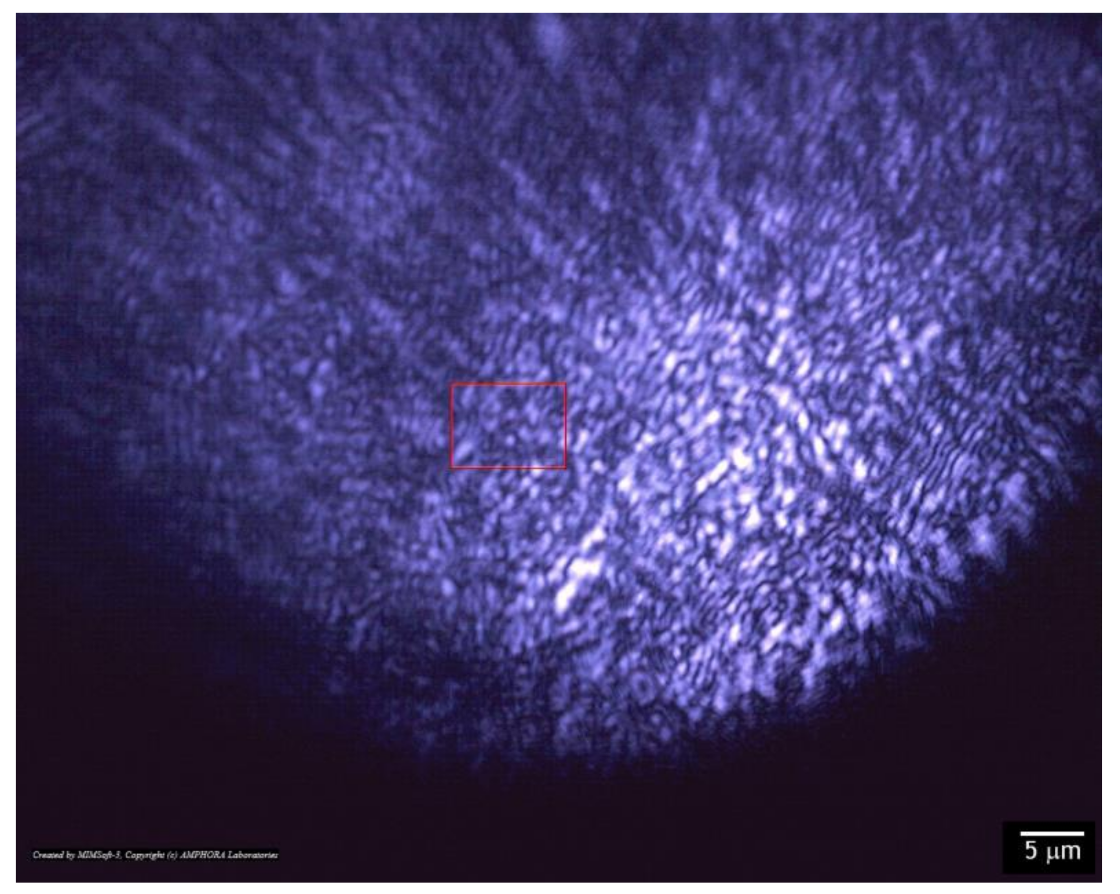 Materials 14 06586 g008