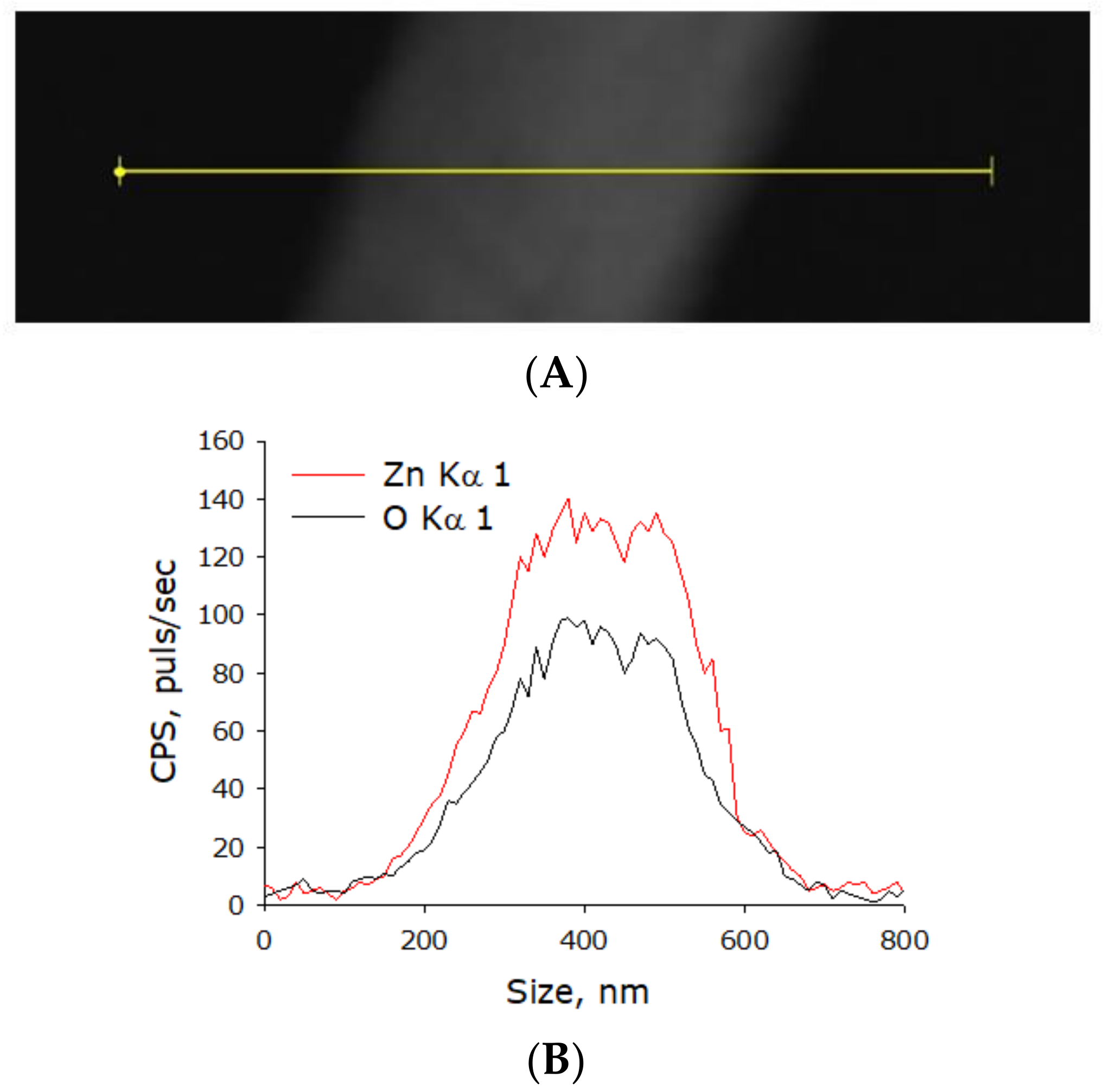 Materials 14 06586 g009