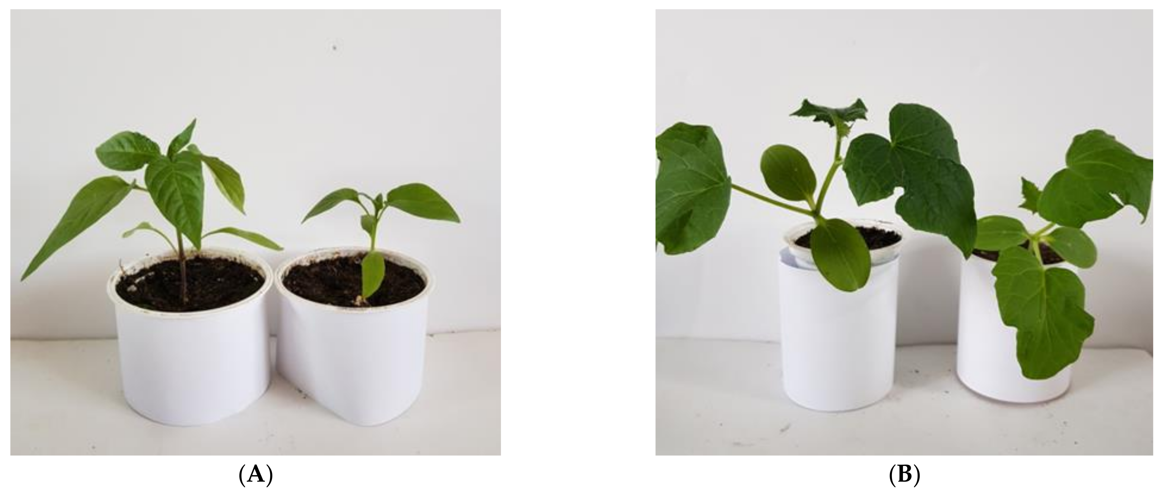 Materials 14 06586 g011