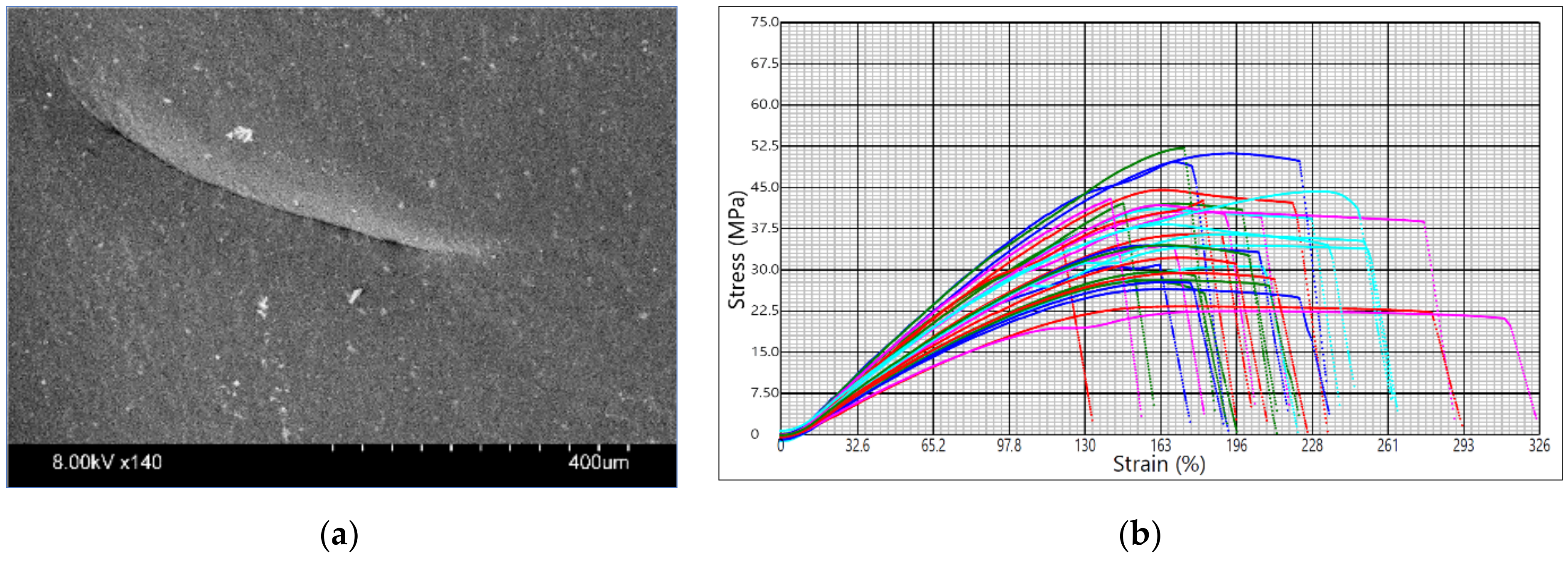 Materials 14 06595 g003