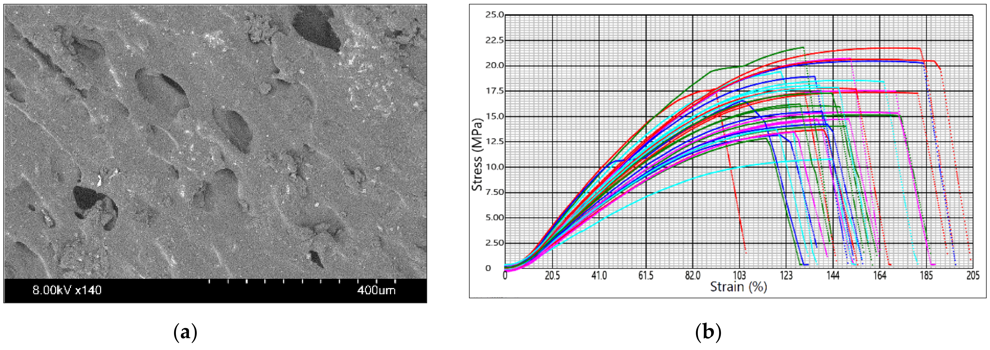 Materials 14 06595 g005