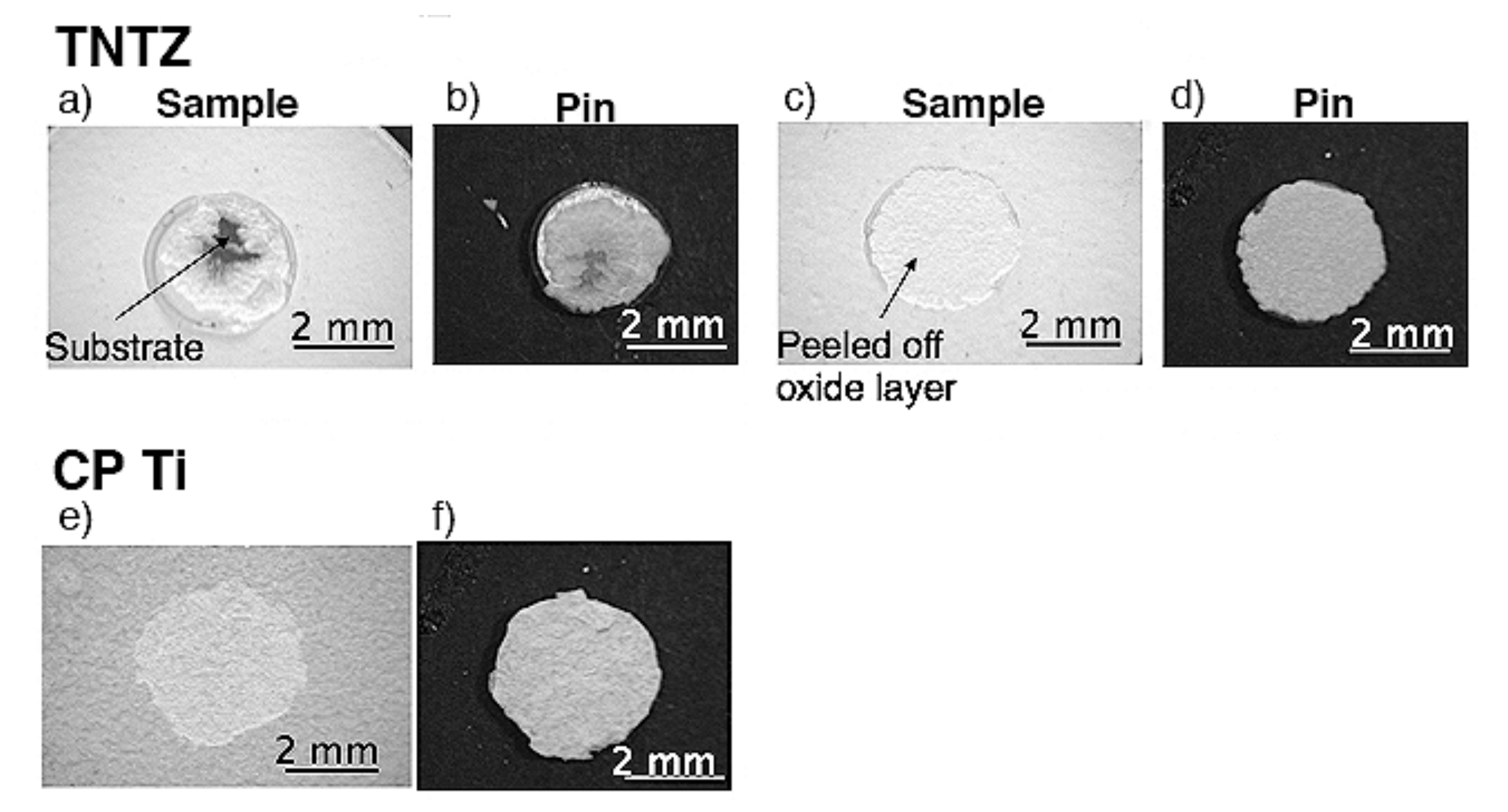 Materials 14 06599 g004