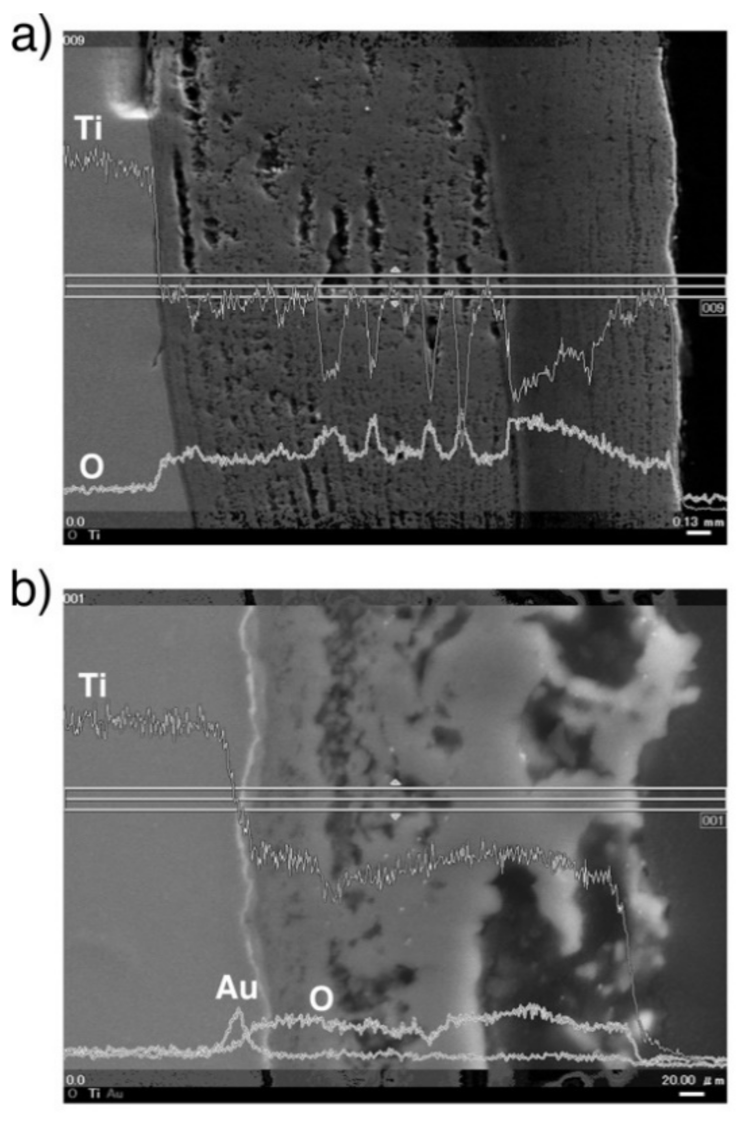 Materials 14 06599 g008