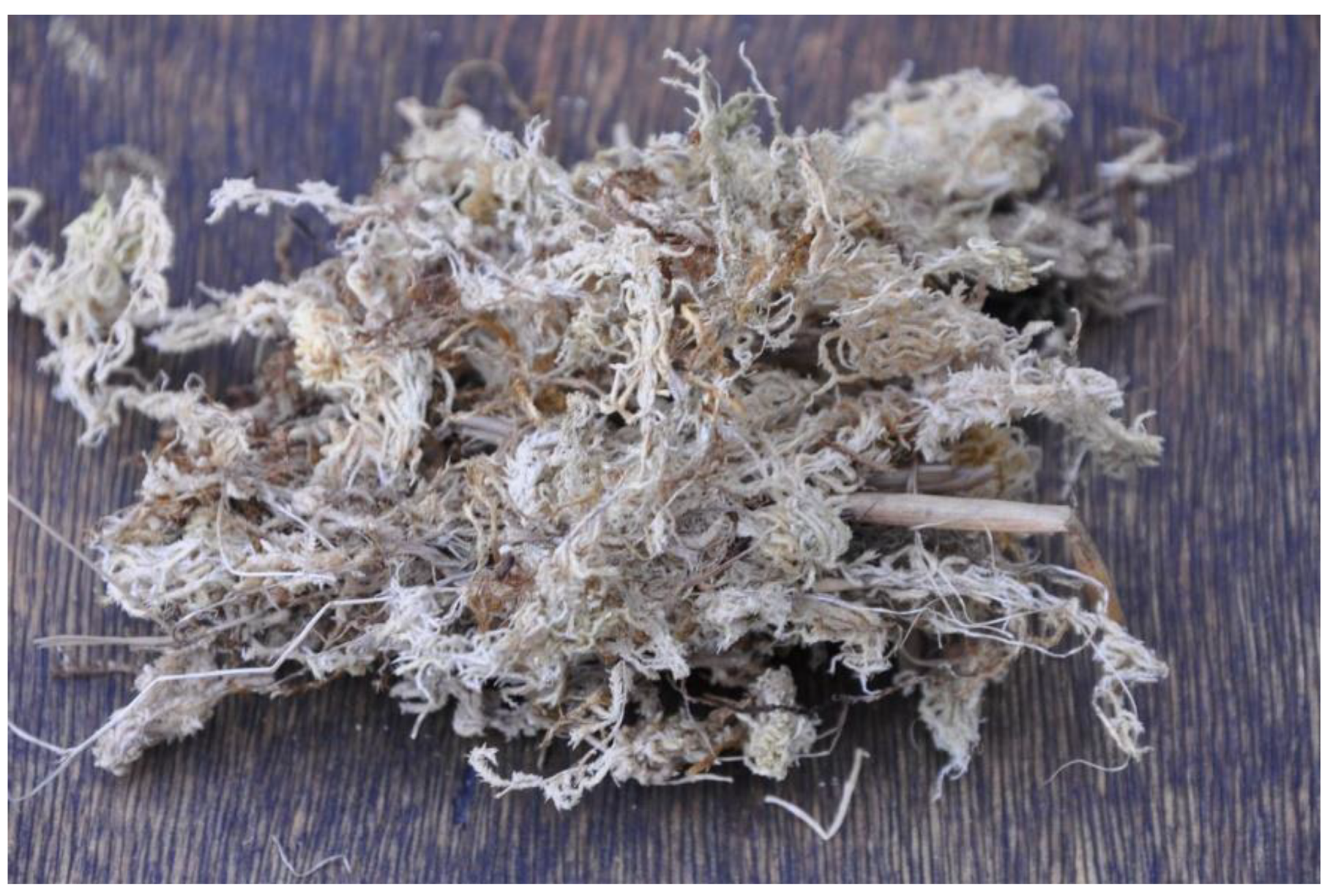 Materials 14 06601 g001